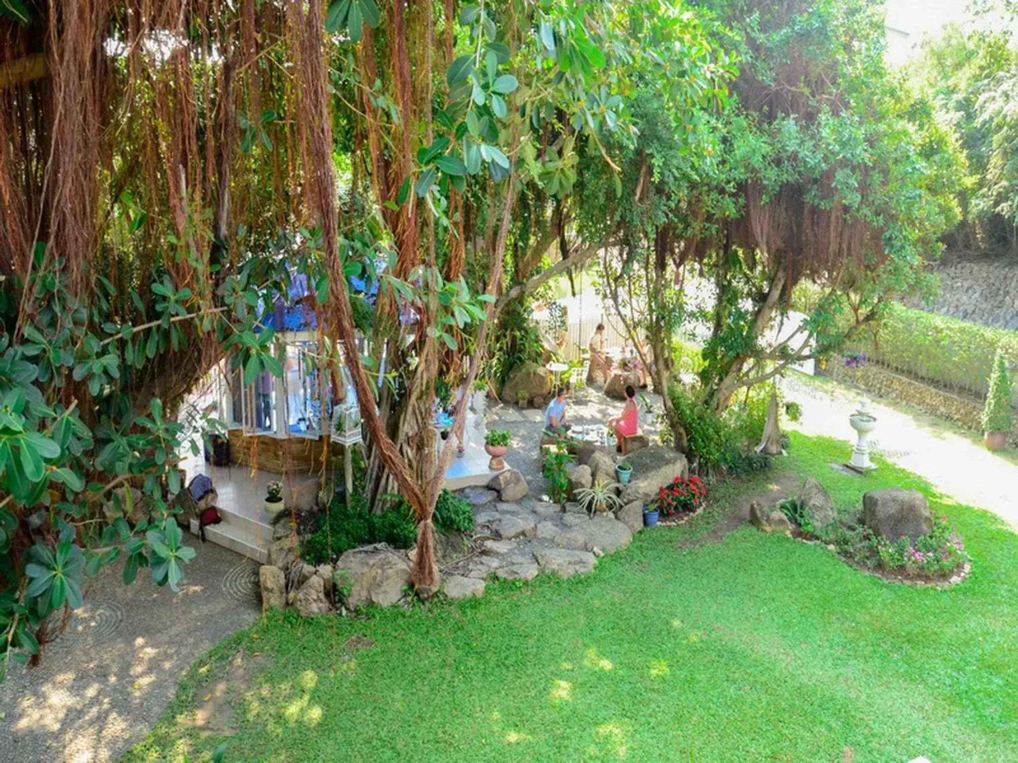 Garden in Banyan House Samui bed and breakfast (Adult Only) Garden in Banyan House Samui bed and breakfast (Adult Only)