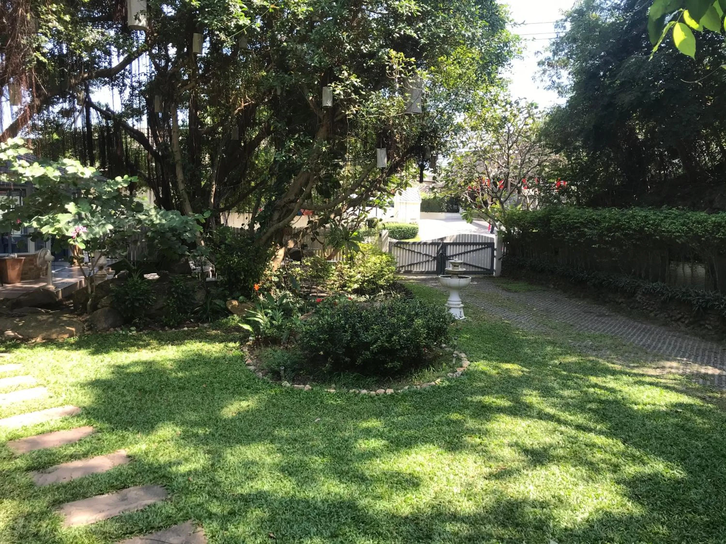 Garden in Banyan House Samui bed and breakfast (Adult Only)