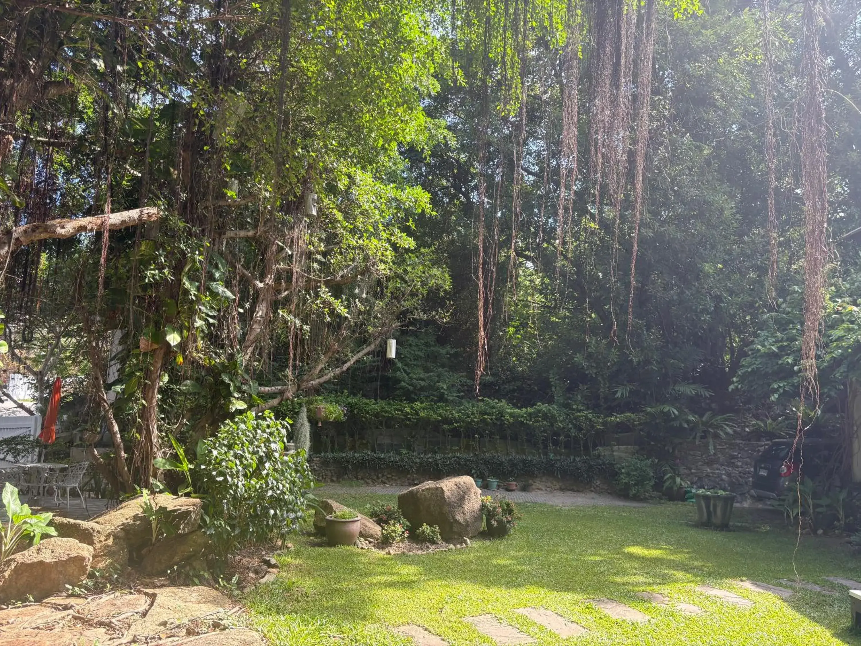 Garden view in Banyan House Samui bed and breakfast (Adult Only) Garden view in Banyan House Samui bed and breakfast (Adult Only)