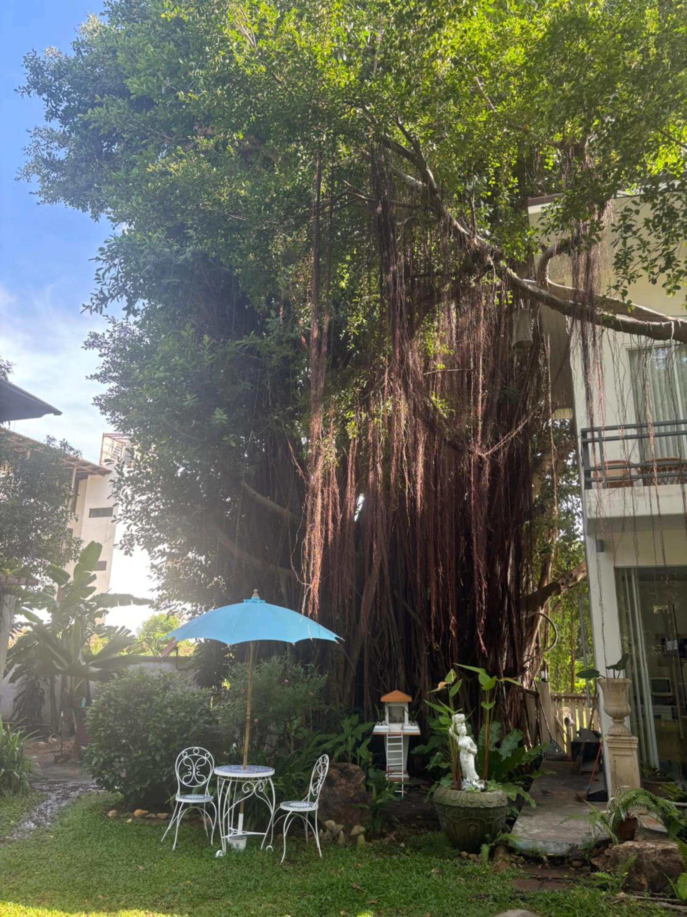 Garden in Banyan House Samui bed and breakfast (Adult Only)