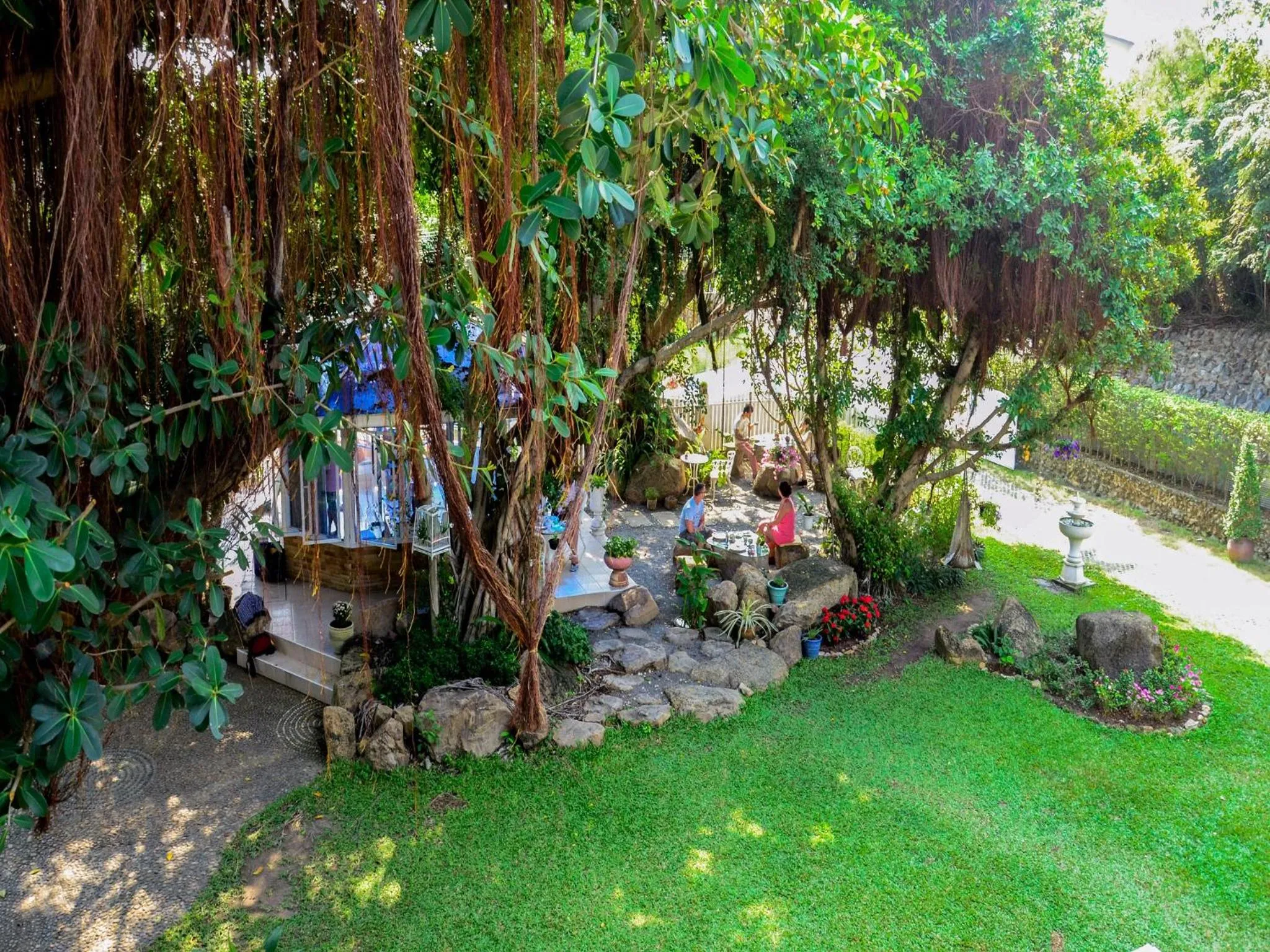 Garden in Banyan House Samui bed and breakfast (Adult Only)