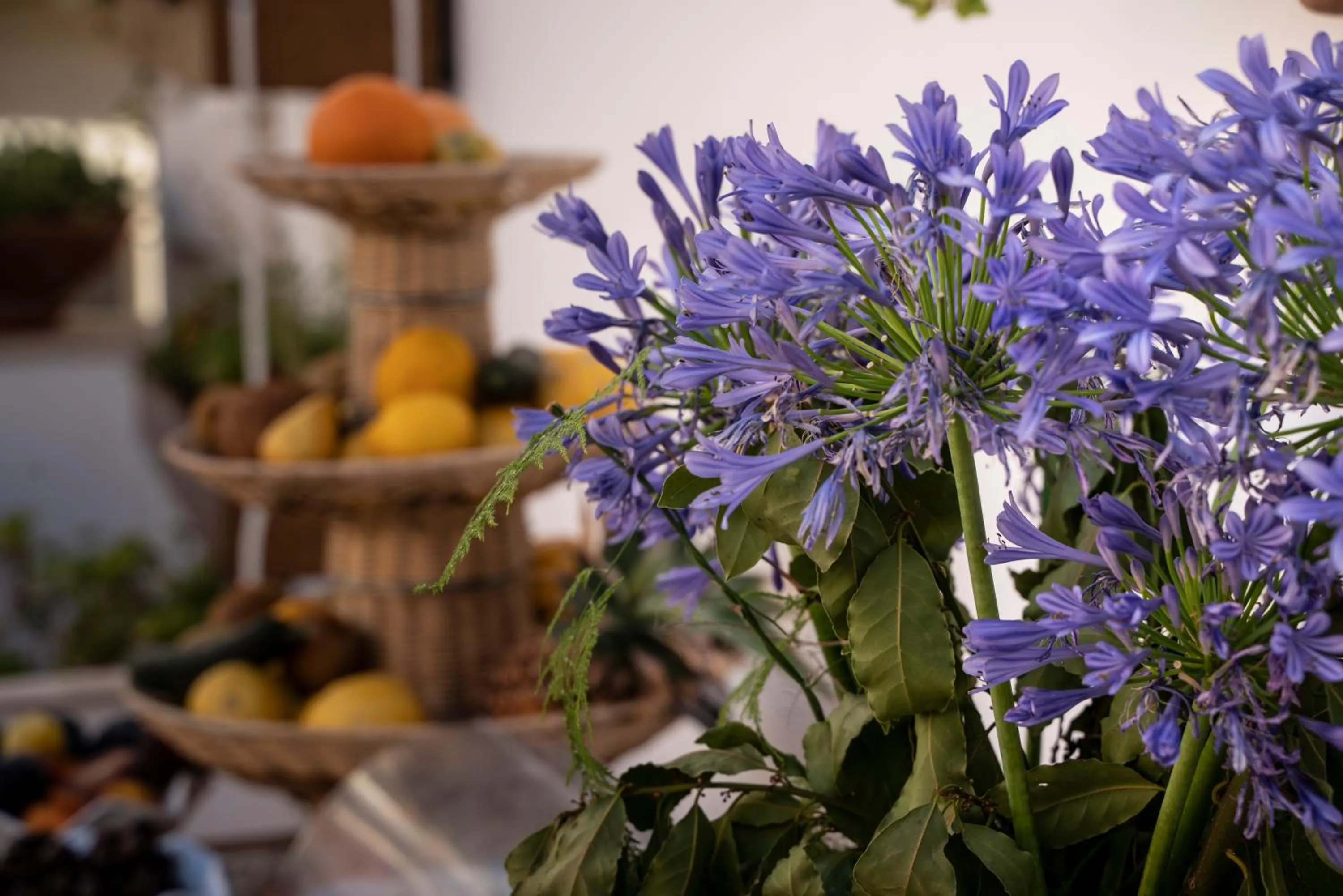 Garden in Residence Garibaldi