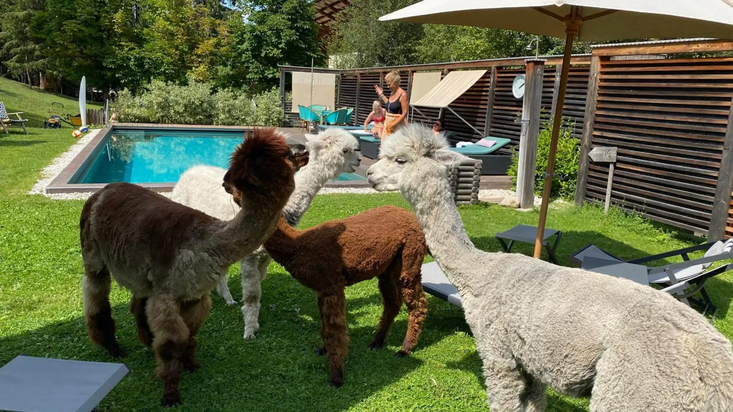 Garden in Dolomit Boutique Hotel