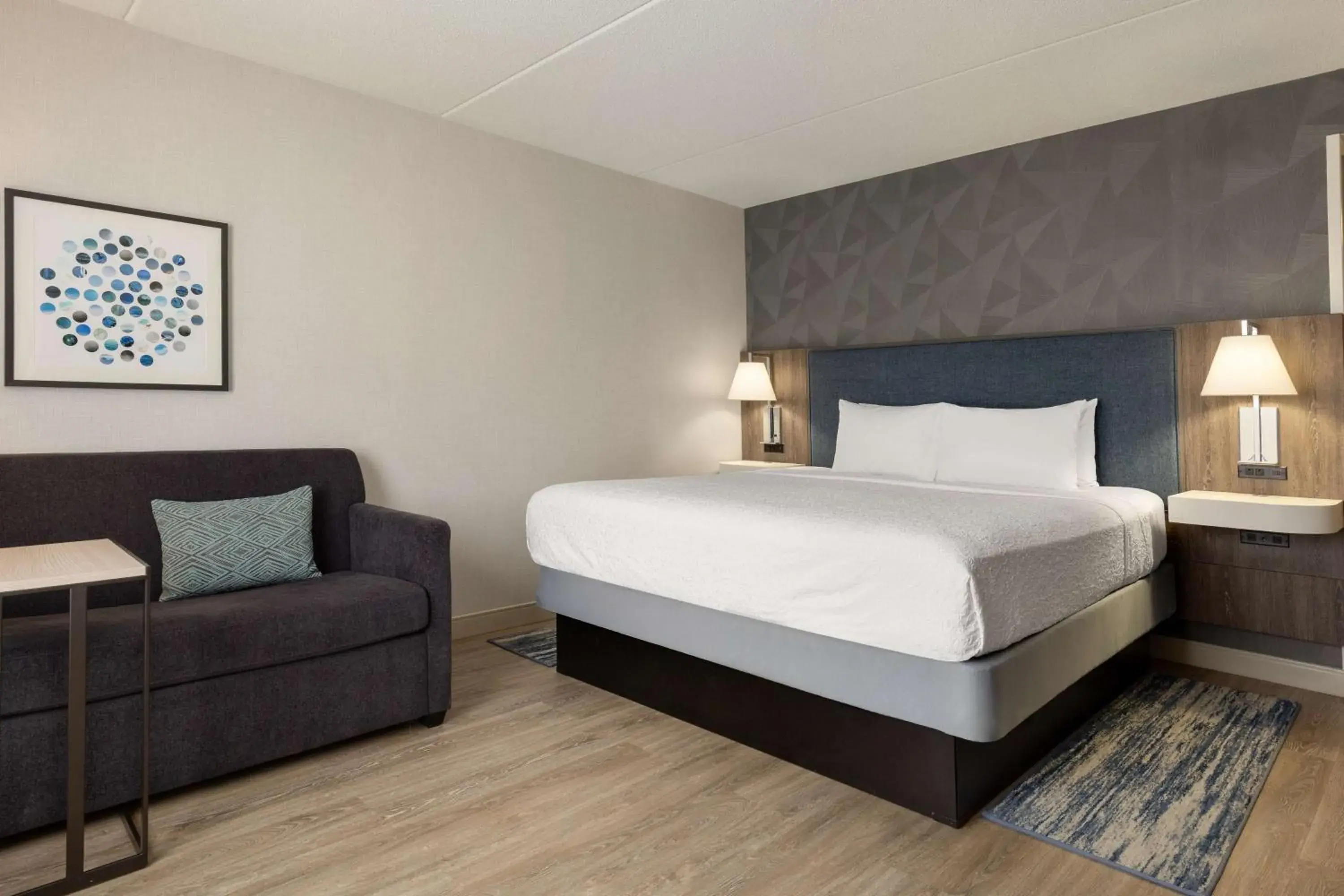 King Room - Disability Access/Non-Smoking in Hampton Inn by Hilton Napanee King Room - Disability Access/Non-Smoking in Hampton Inn by Hilton Napanee