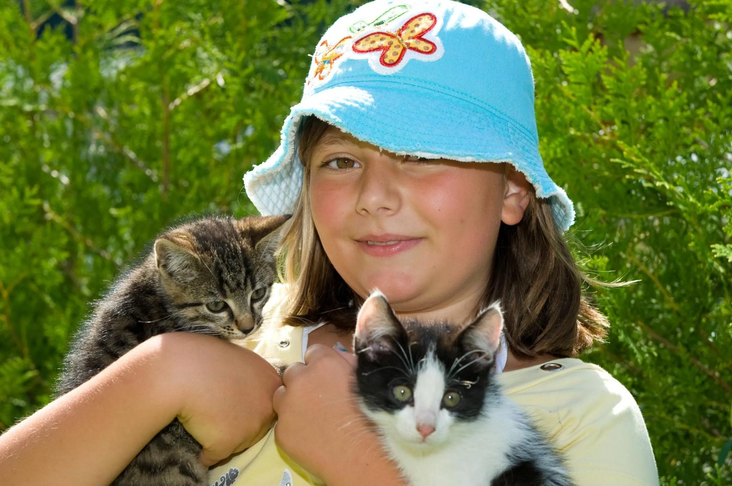 Animals in Bauernhof Schornlehen