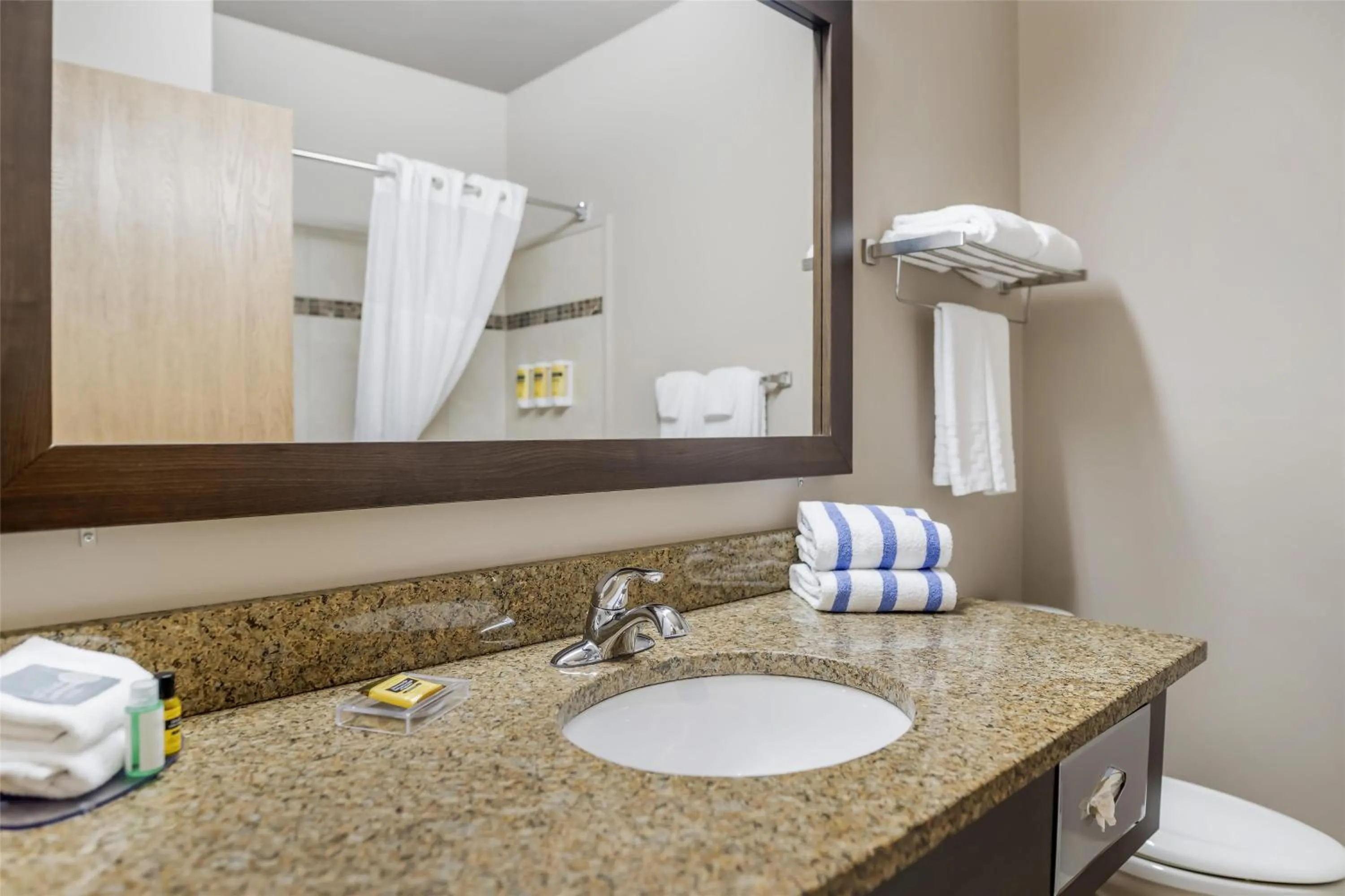 Bathroom in Best Western Plus Bridgewater Hotel & Convention Centre