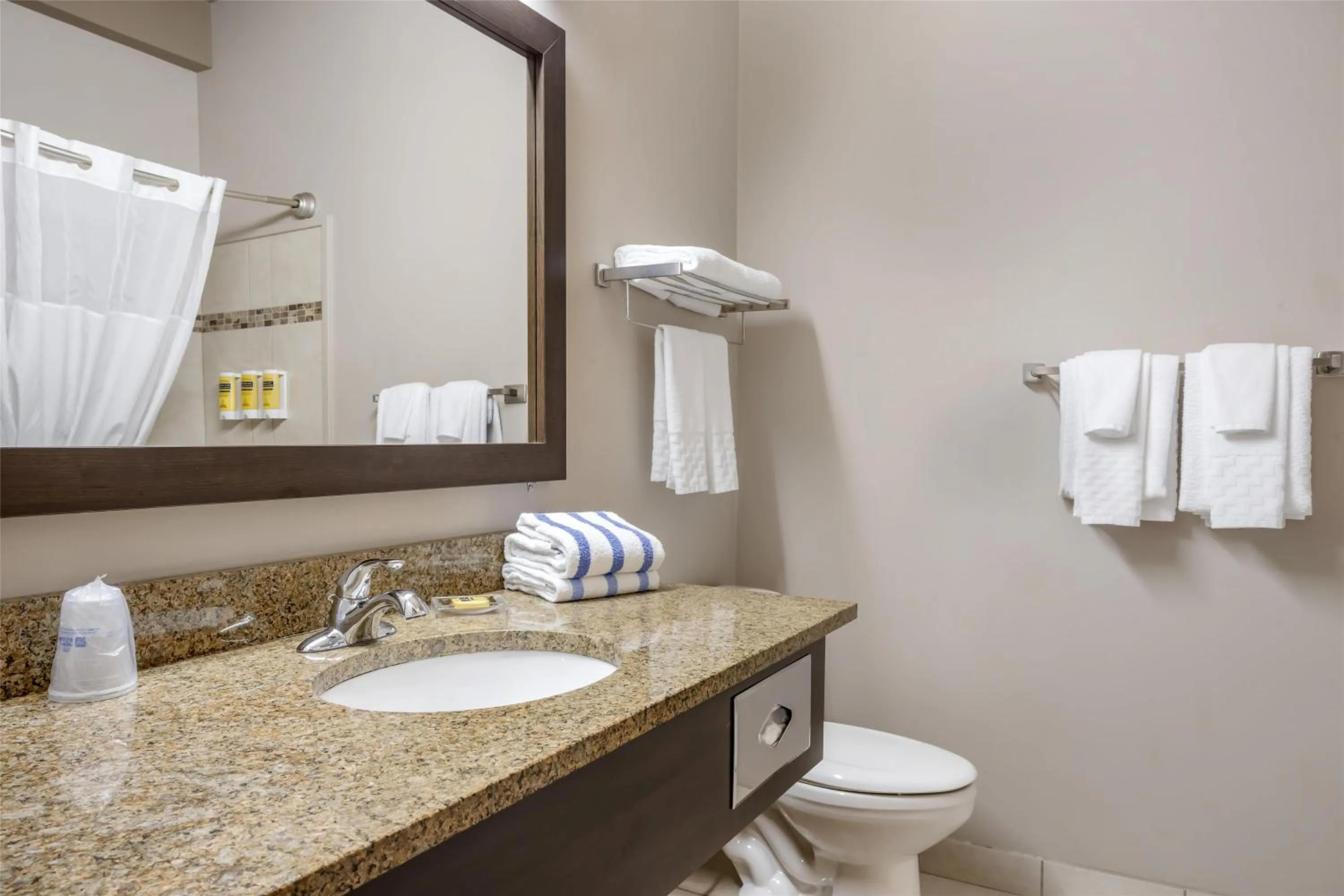 Bathroom in Best Western Plus Bridgewater Hotel & Convention Centre
