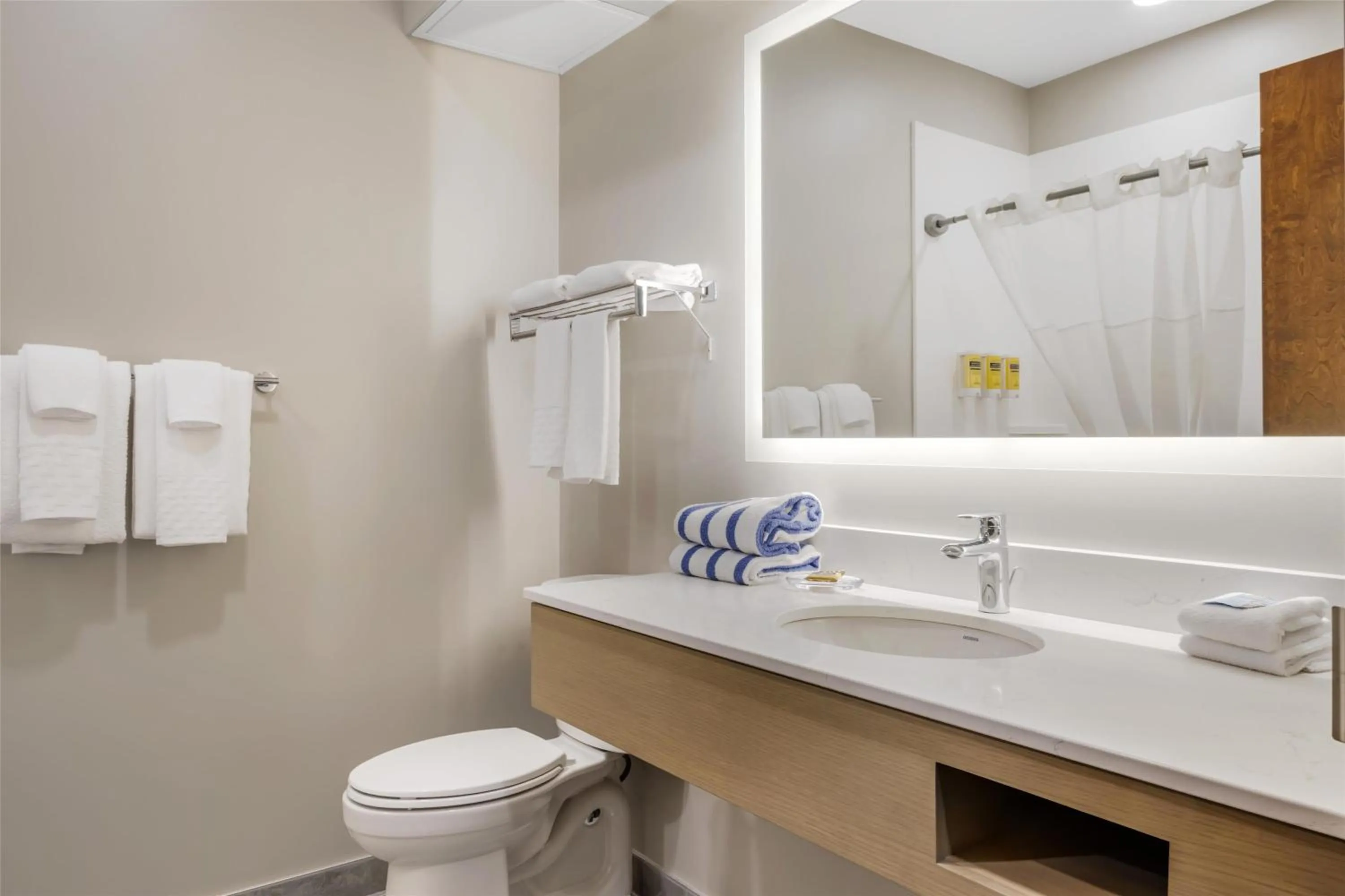 Bathroom in Best Western Plus Bridgewater Hotel & Convention Centre