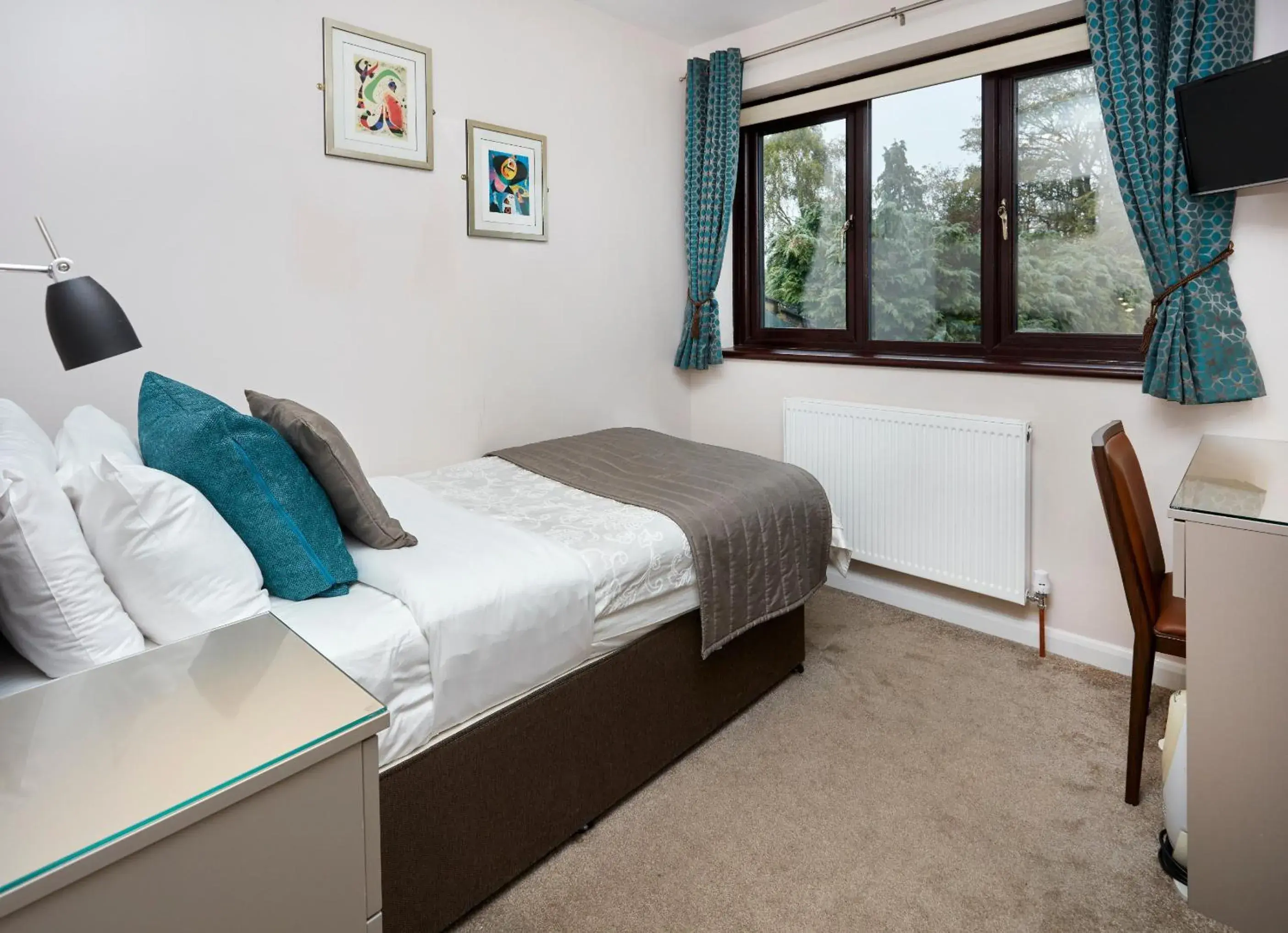 Single Room in Conifers Guest House Single Room in Conifers Guest House