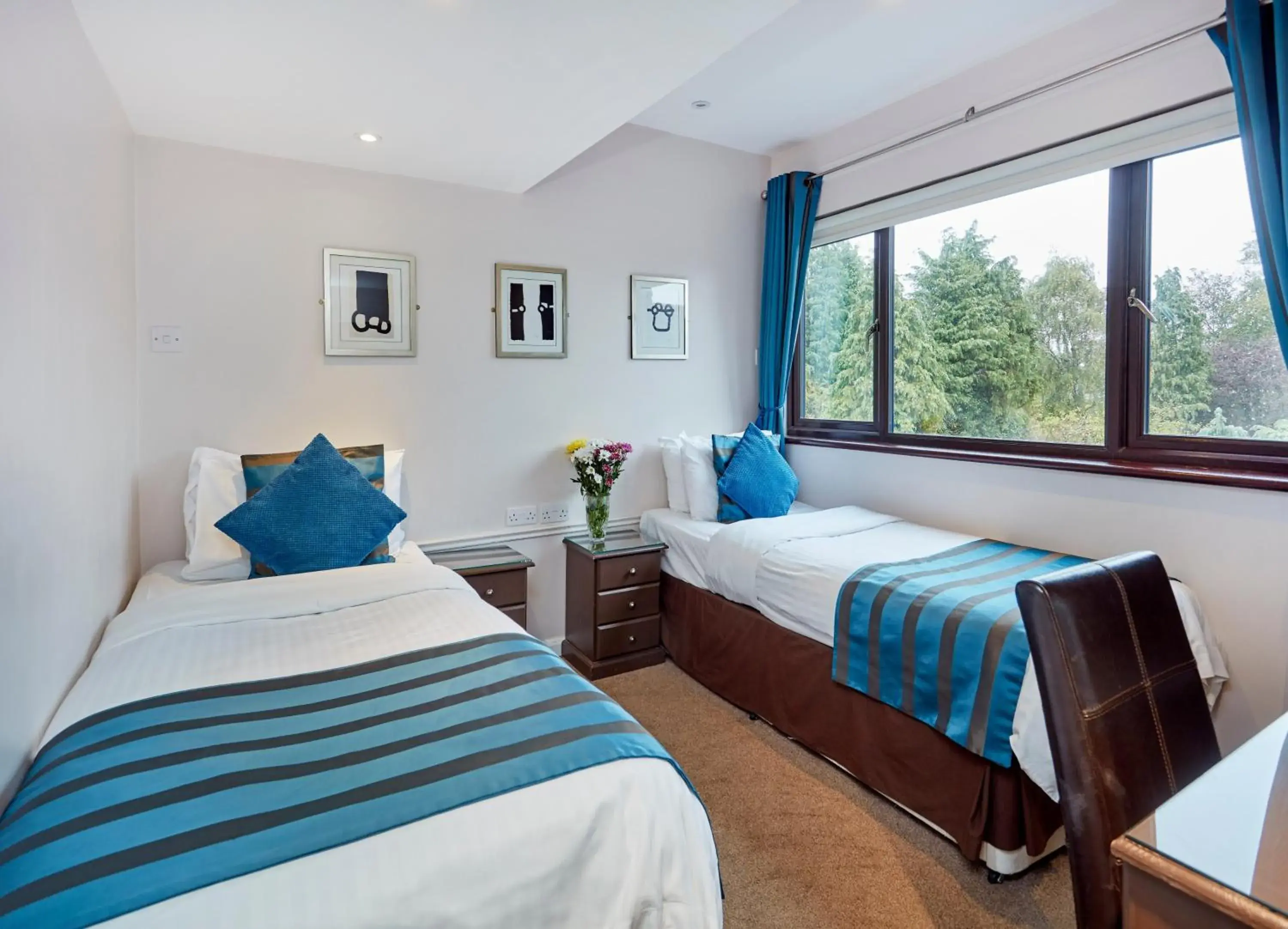 Standard Twin Room in Conifers Guest House Standard Twin Room in Conifers Guest House