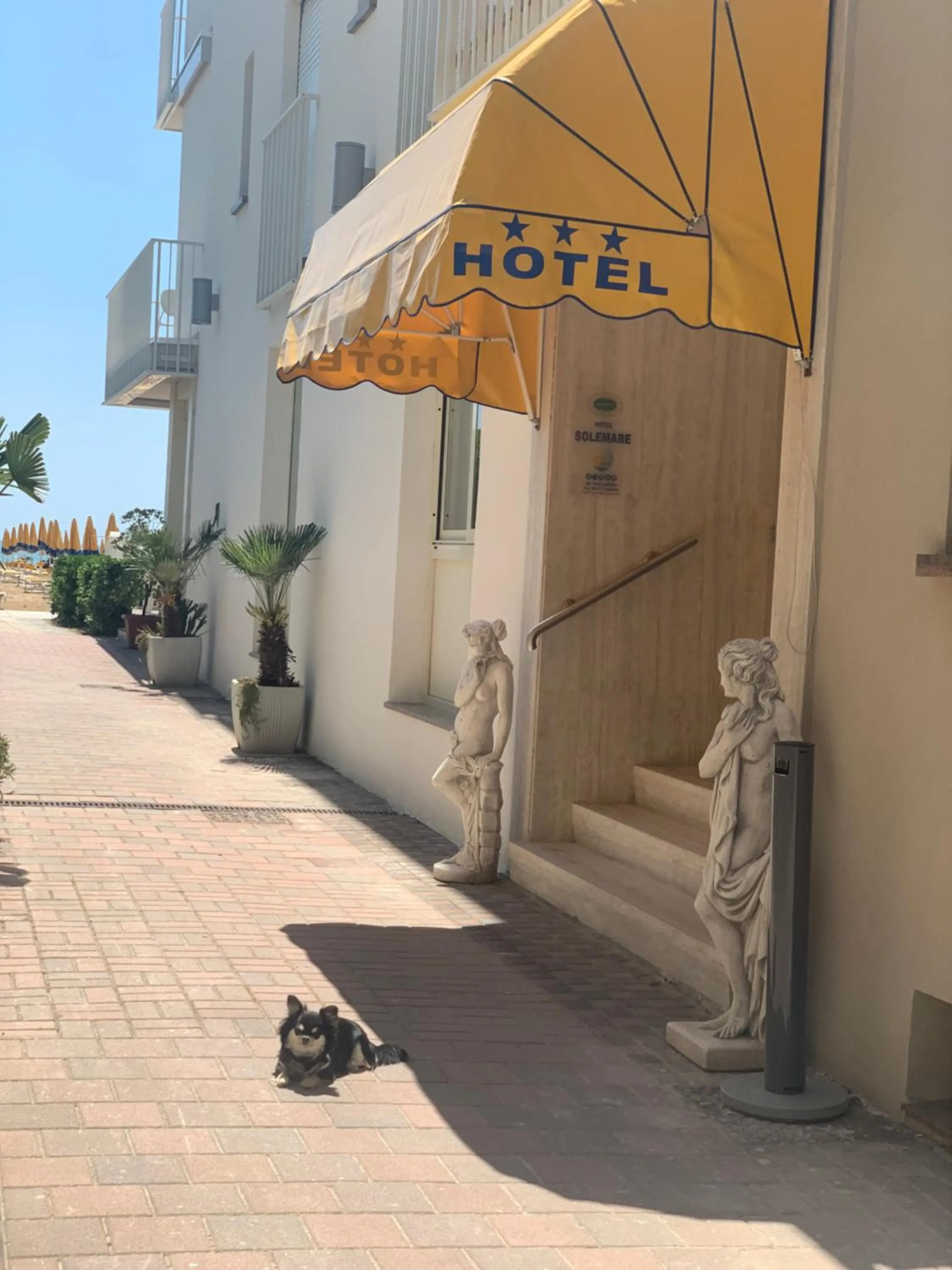 Property building in Hotel Solemare - Frontemare - 3 Stelle Superior