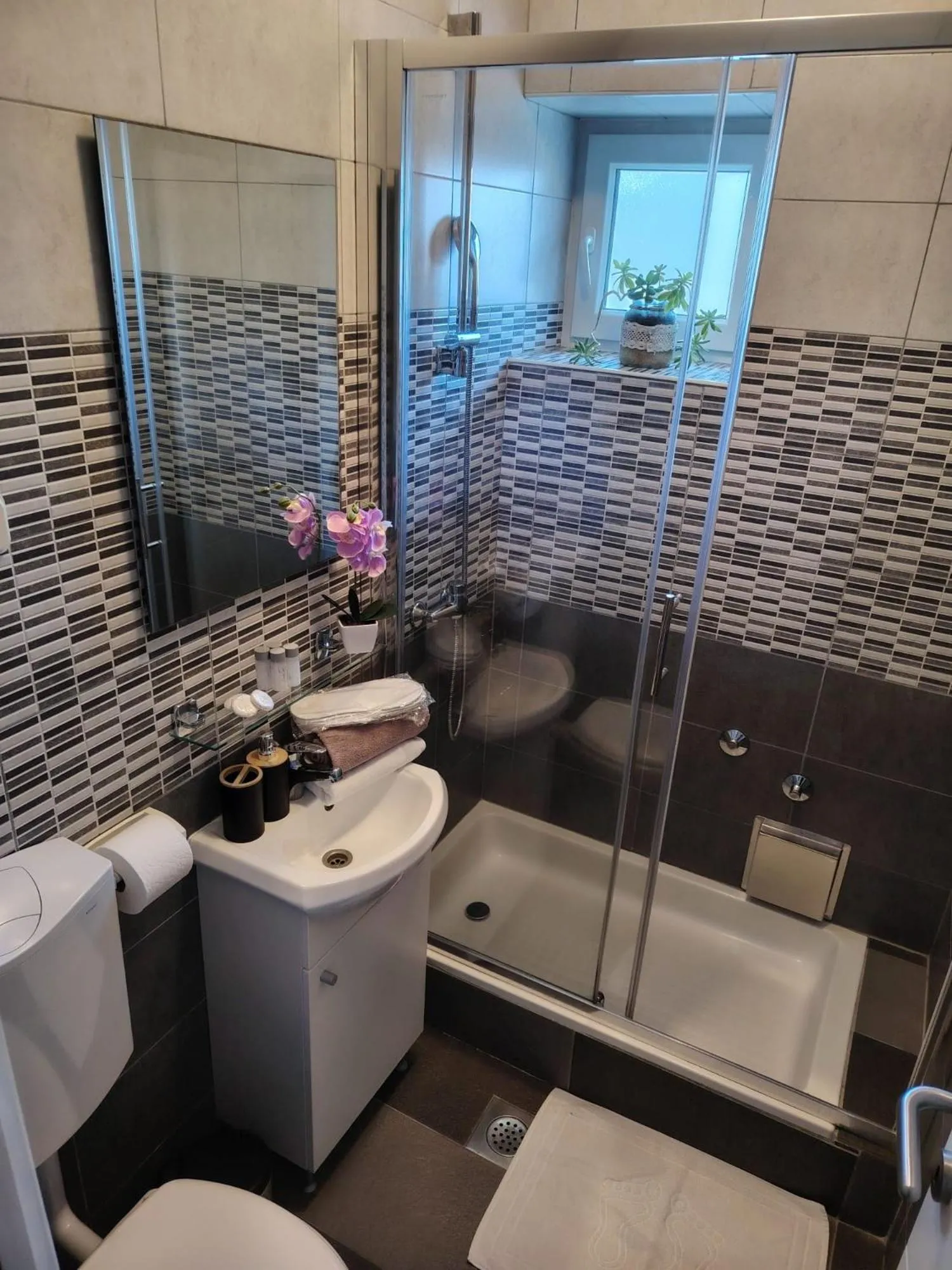 B&B Buzolic