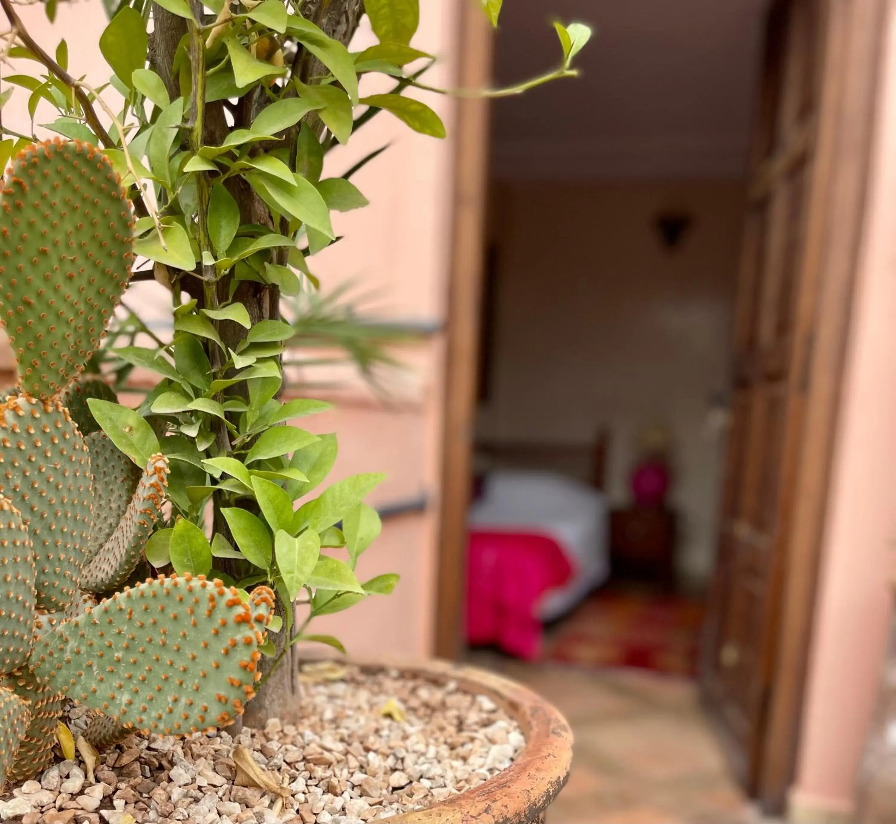 Superior Double Room in Riad Elias & Spa Superior Double Room in Riad Elias & Spa