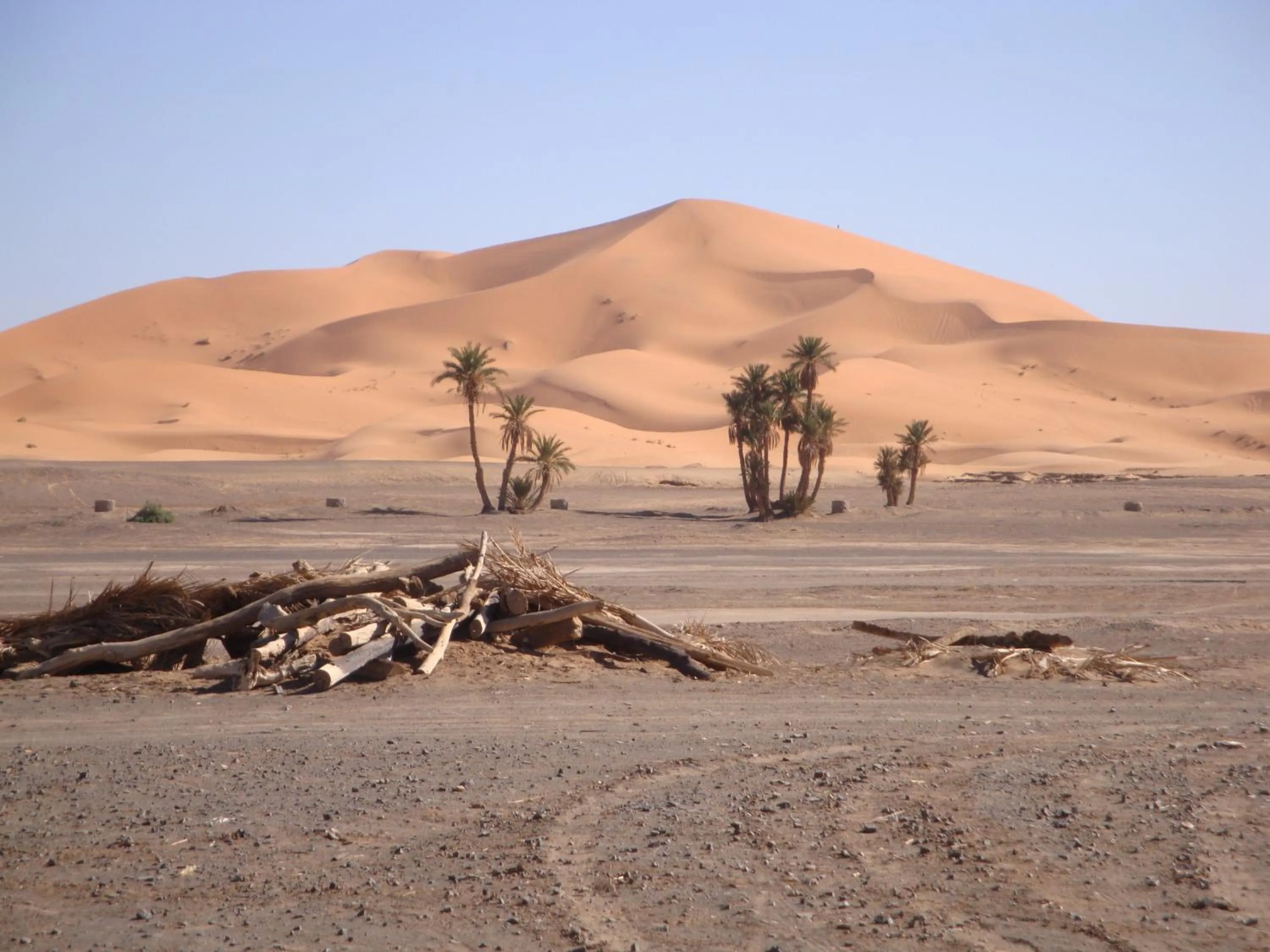 View (from property/room) in Riad Aicha & Camel Trekking