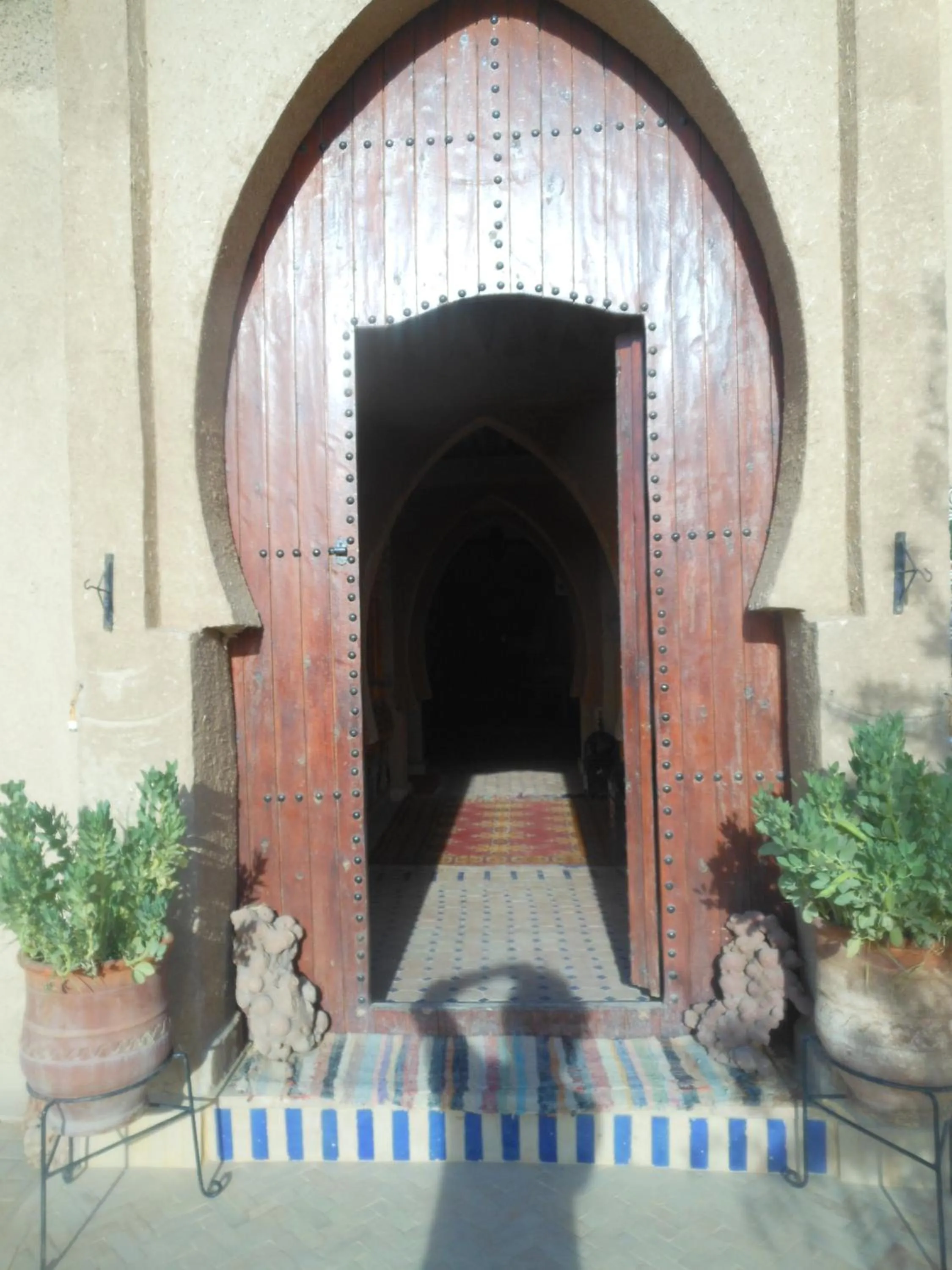 Other in Riad Aicha & Camel Trekking