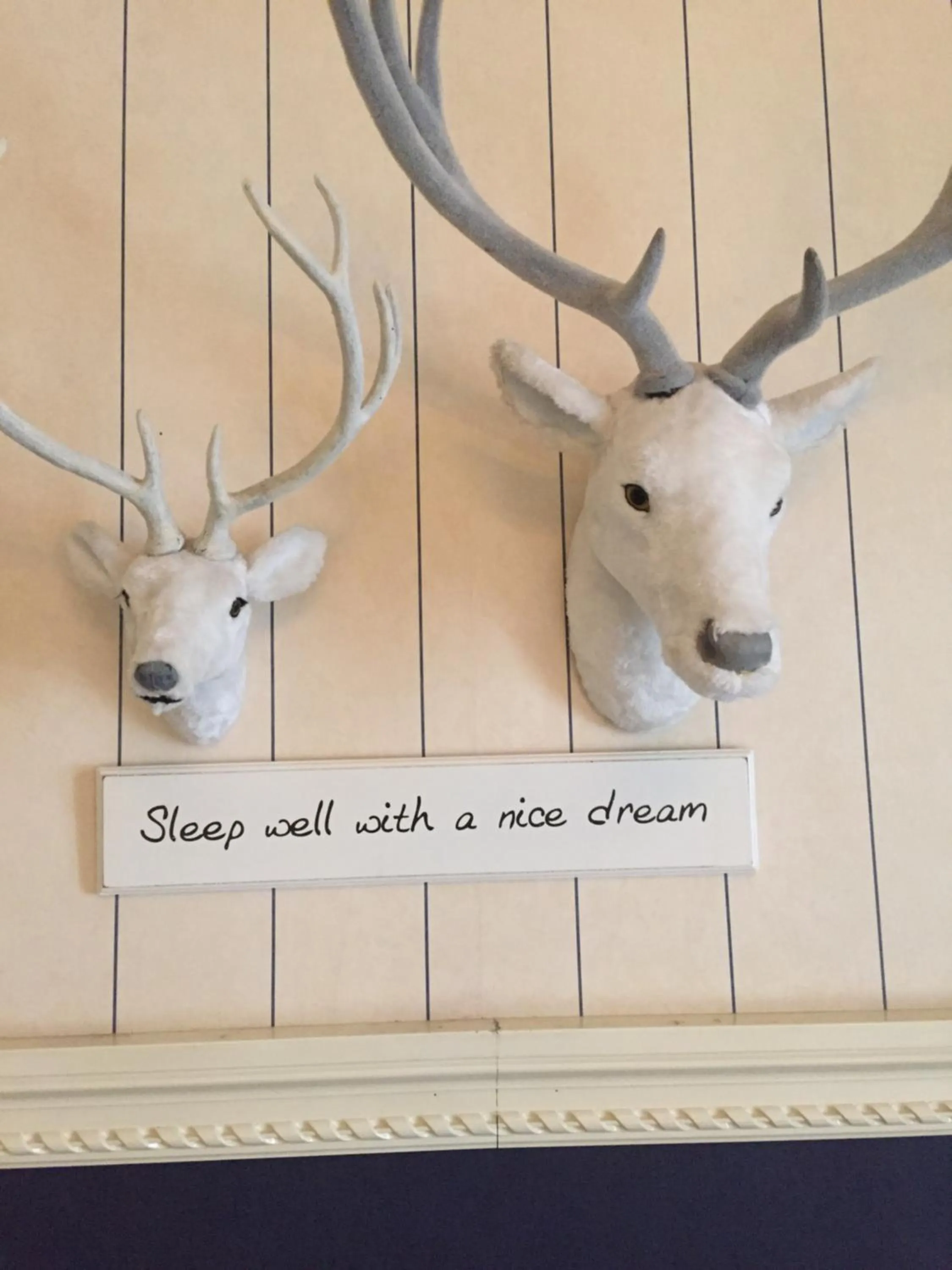 Decorative detail in B&B Con Ampère