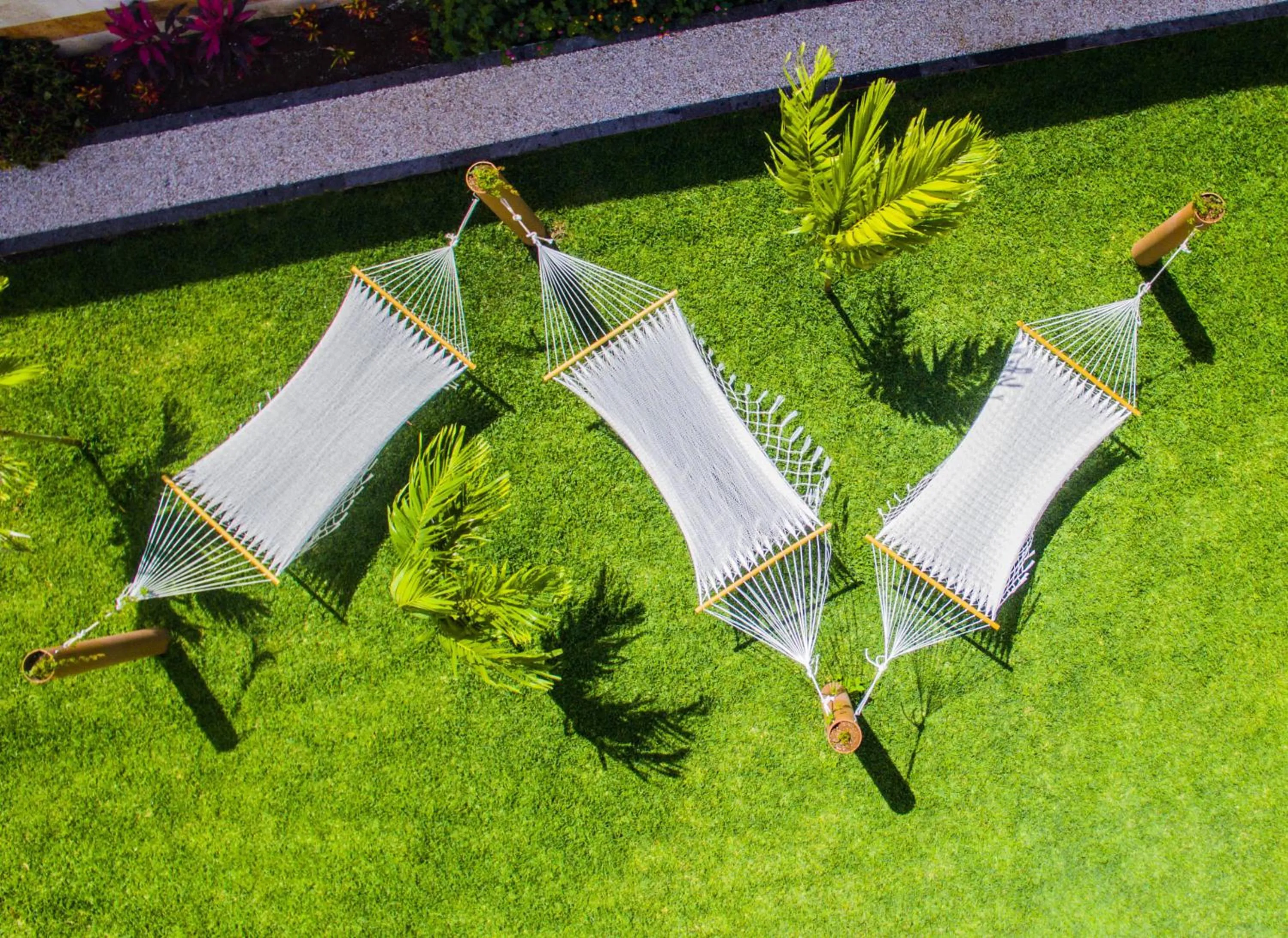 Garden in Hotel Palacio Maya