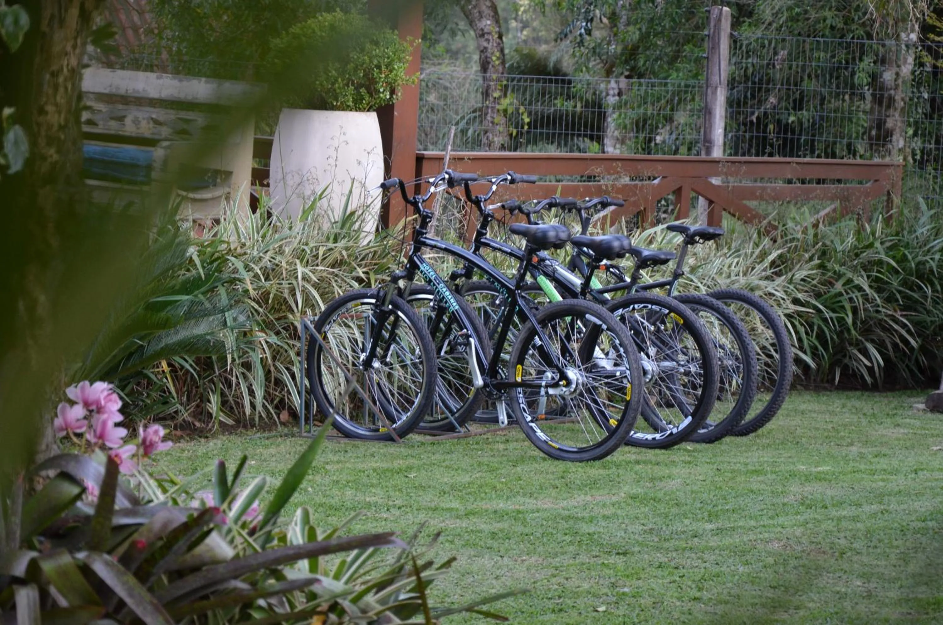 Garden in Hotel Cabanas Tio Müller
