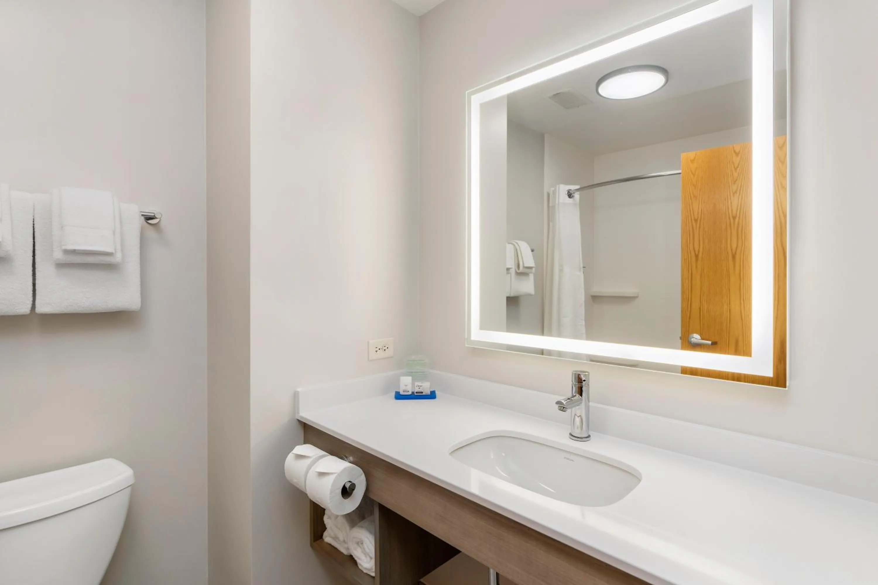 Bathroom in Holiday Inn Express Peru-Lasalle Area by IHG