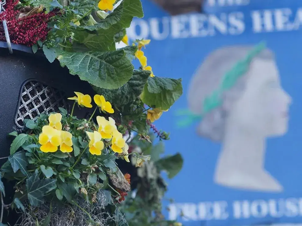 View (from property/room) in The Queens Head View (from property/room) in The Queens Head