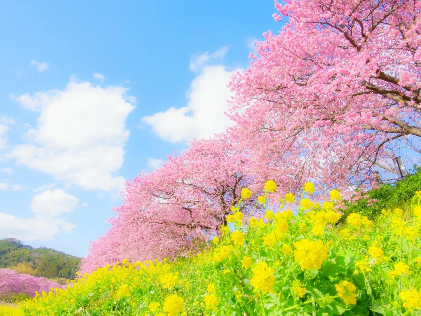 Cycling in Kurofune Hotel