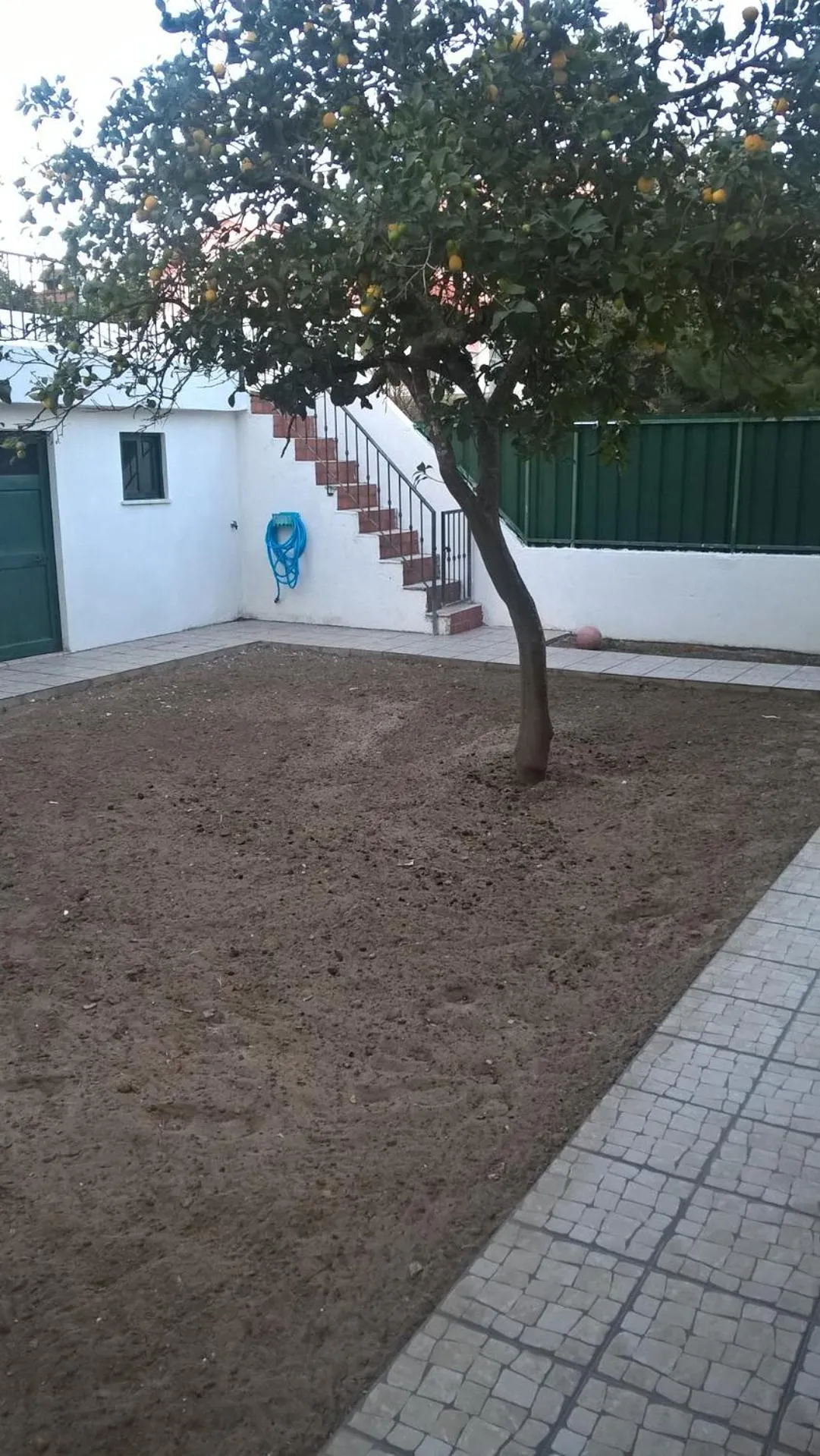 Garden in Casa do Limoeiro