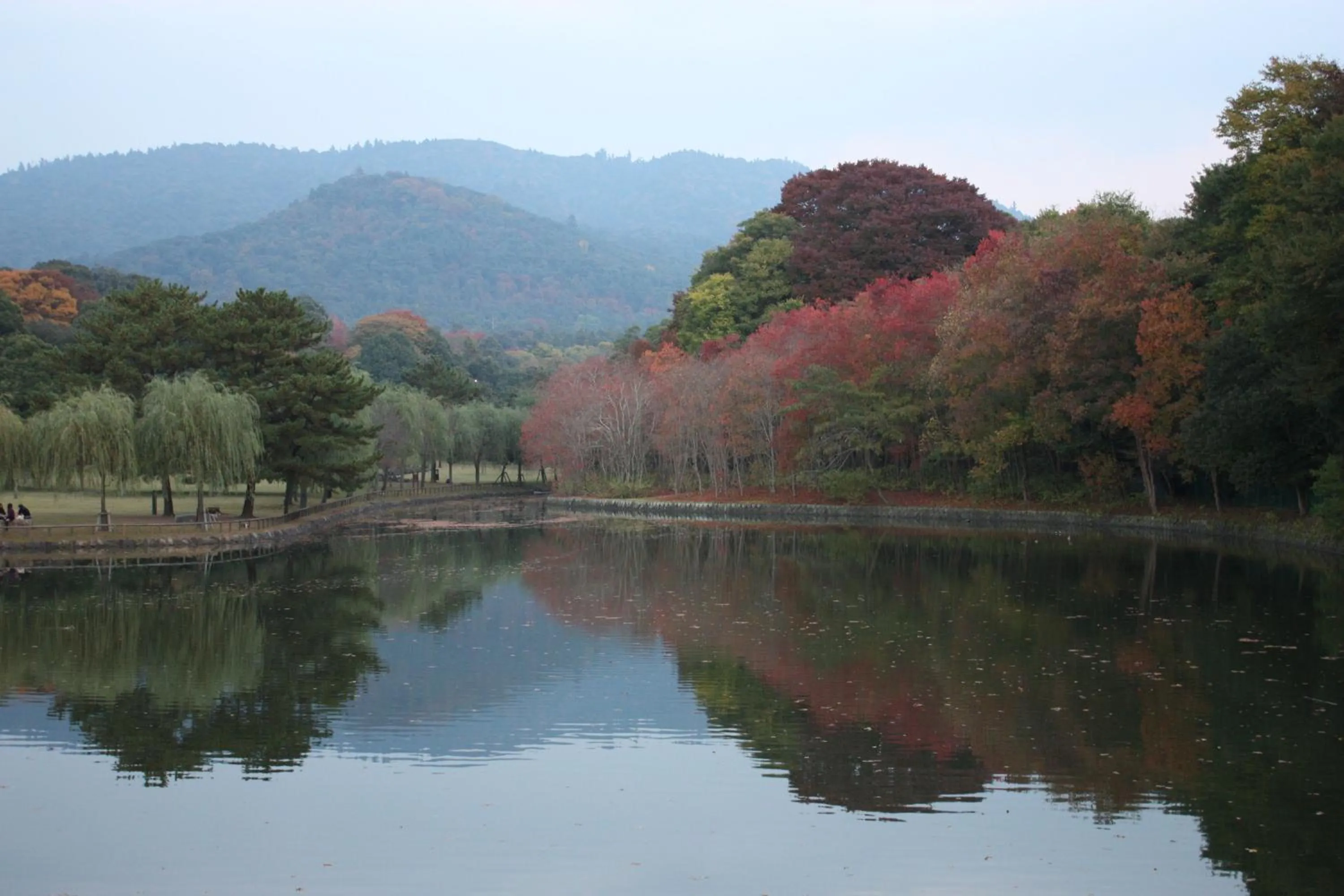 Natural landscape in Guesthouse Naramachi