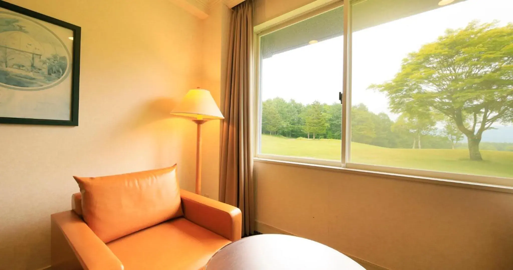 View (from property/room) in Villa the Club Karuizawa View (from property/room) in Villa the Club Karuizawa