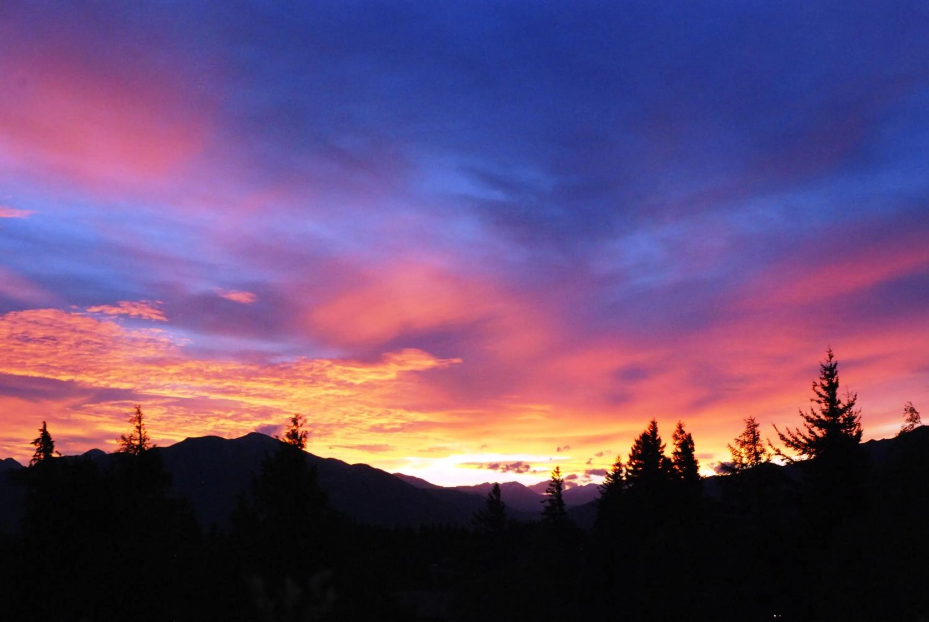 Night in The Chalets Motel