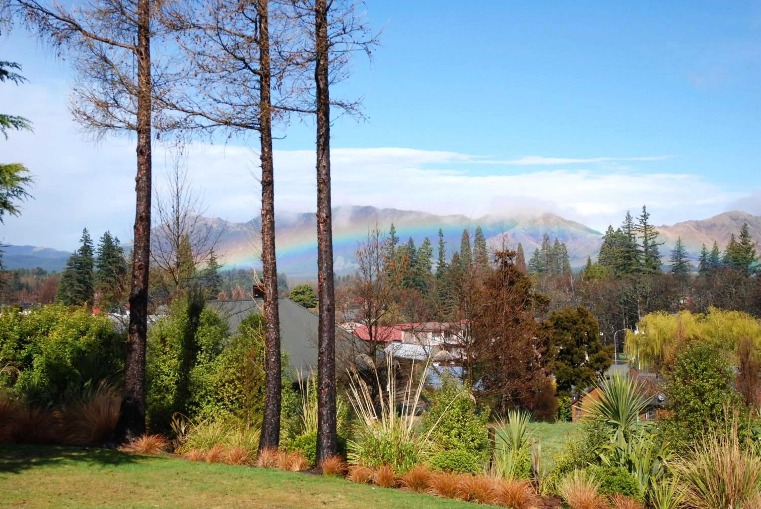 Spring in The Chalets Motel