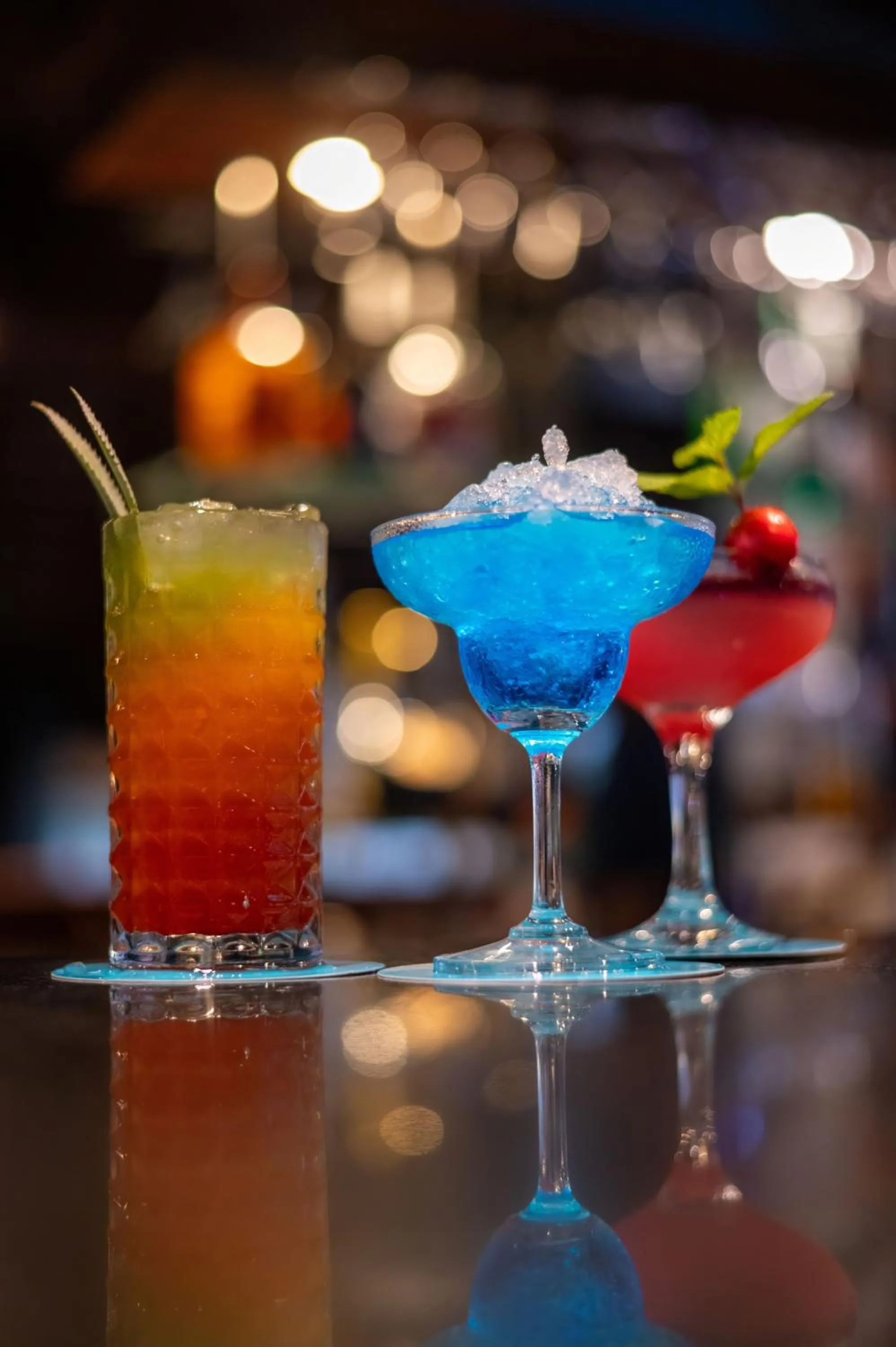 Lounge or bar in The Palms