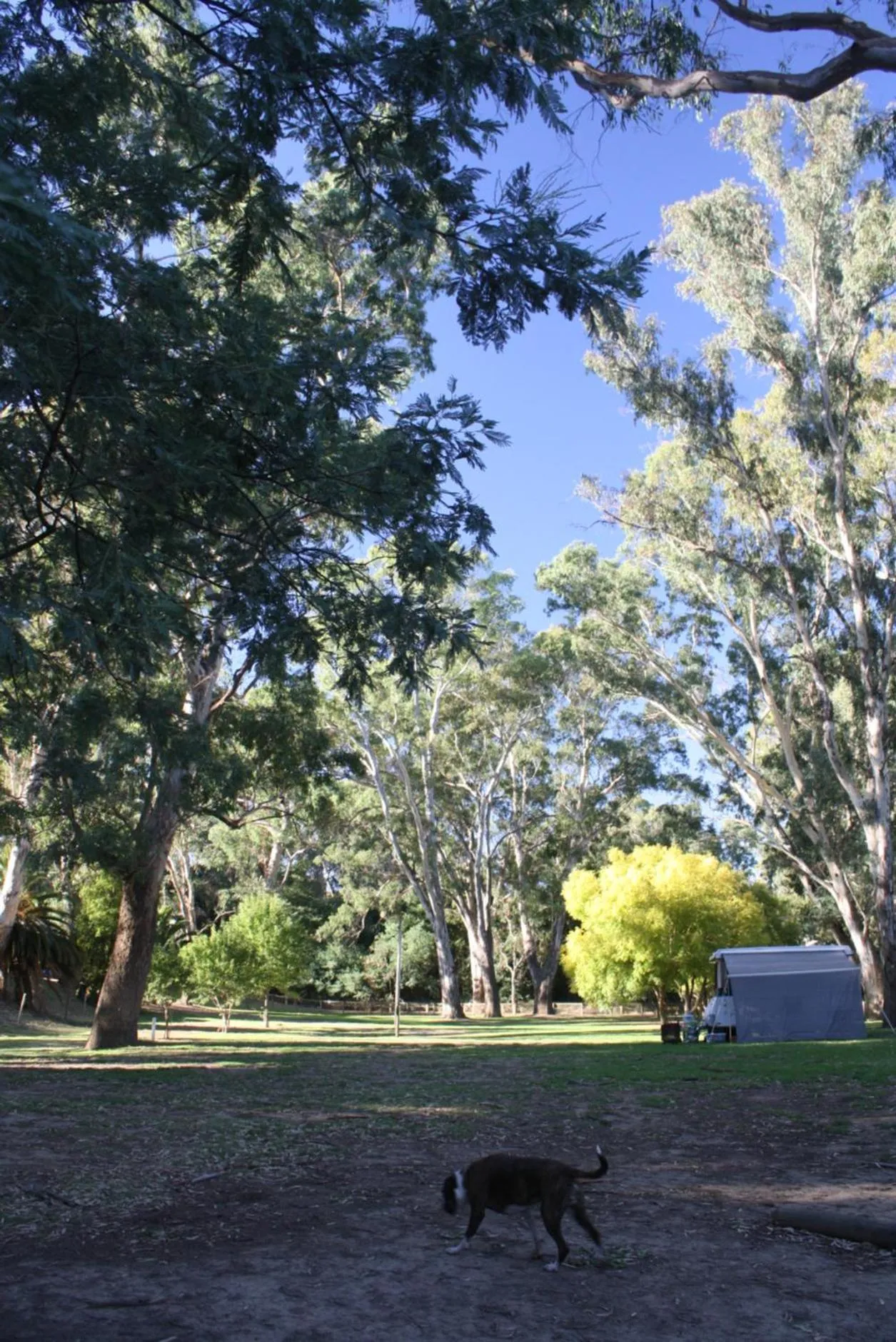 BIG4 Tiny Away Escape at Seymour Riverside