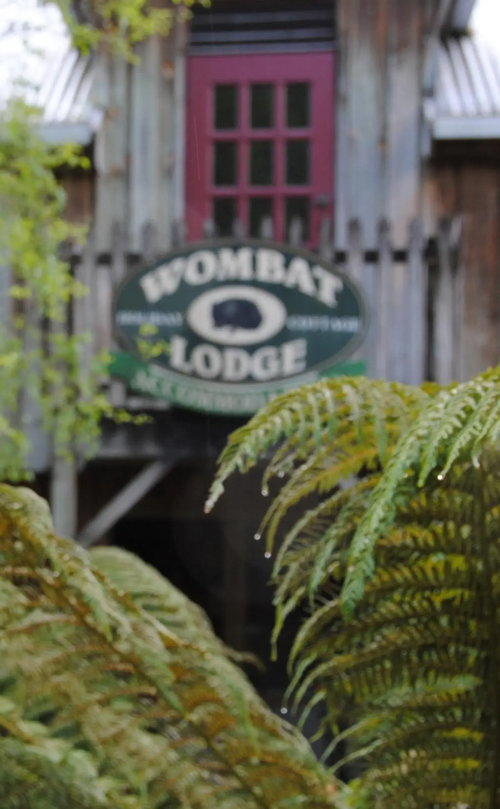 The Wombat Cottage The Wombat Cottage