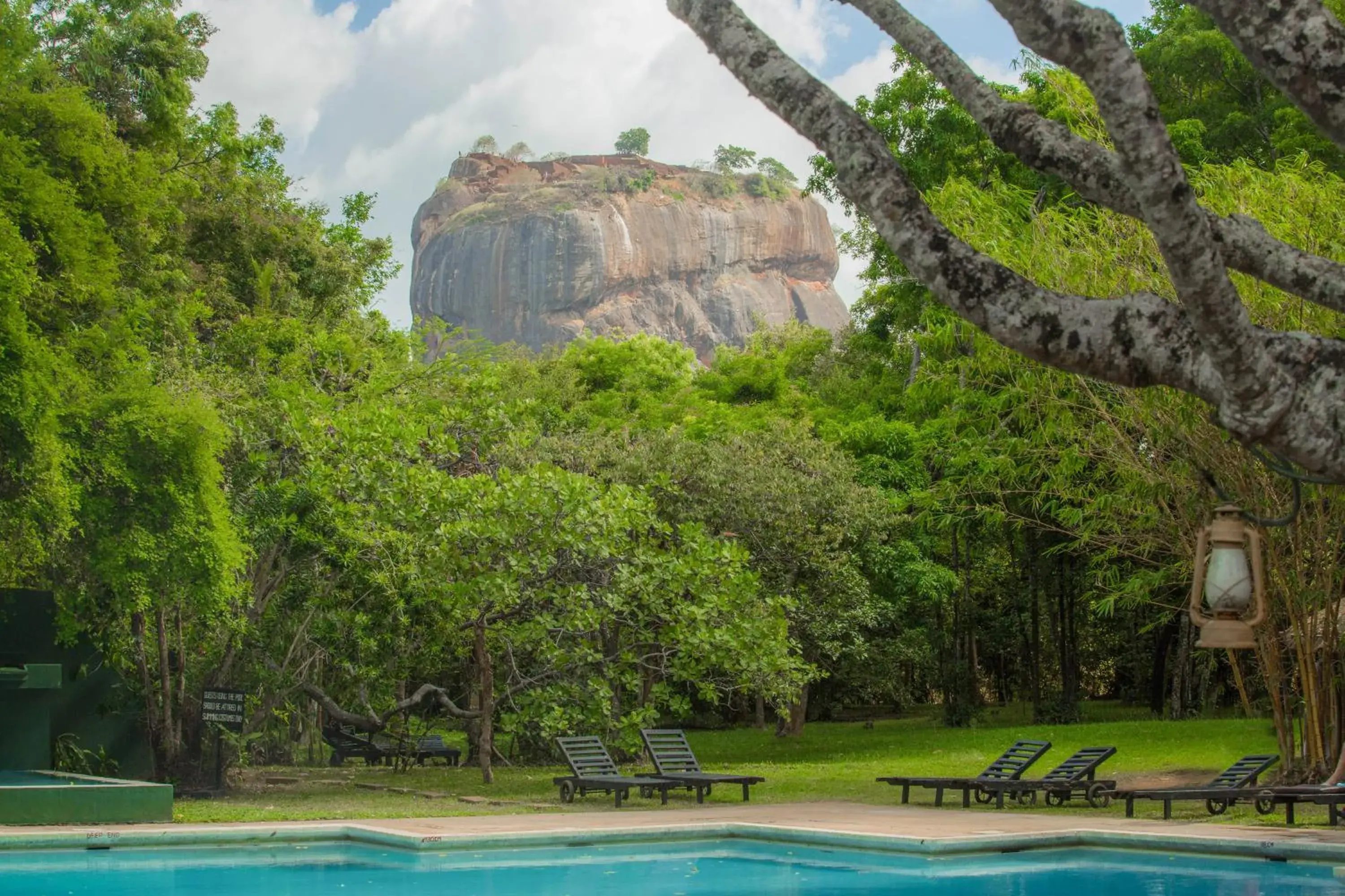 View (from property/room) in Sigiriya Village View (from property/room) in Sigiriya Village