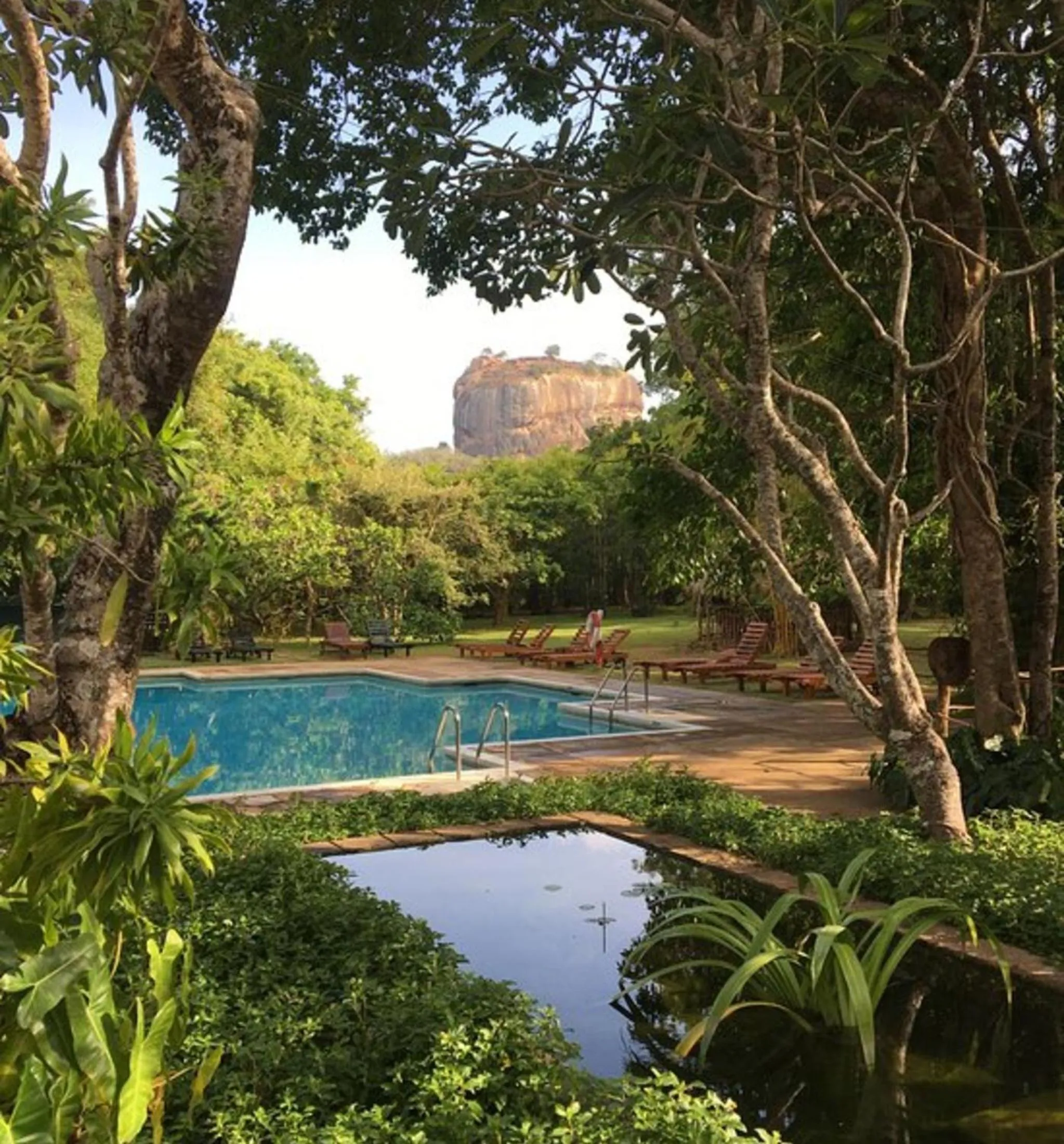 Garden in Sigiriya Village