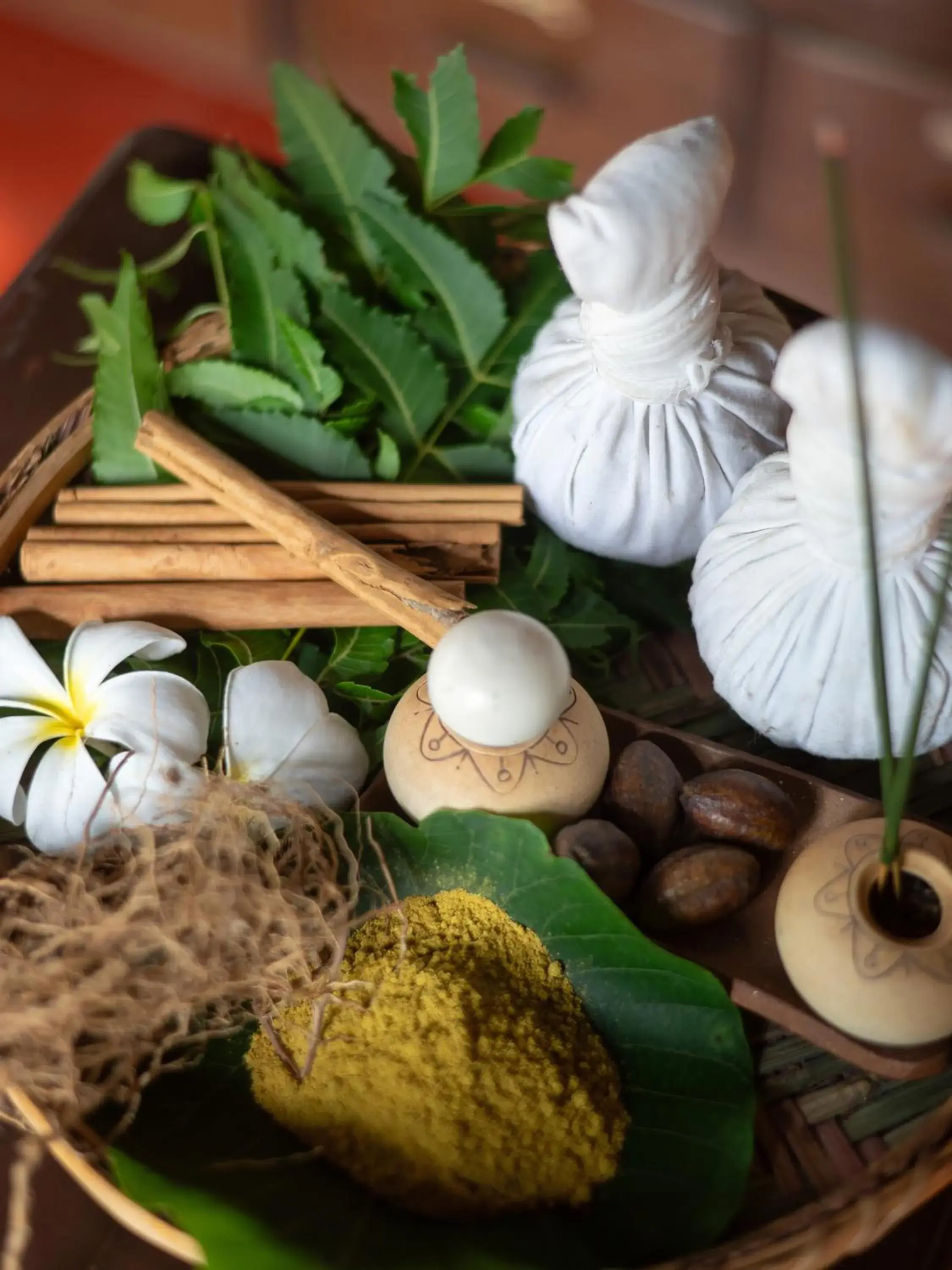 Spa and wellness centre/facilities in Sigiriya Village Spa and wellness centre/facilities in Sigiriya Village