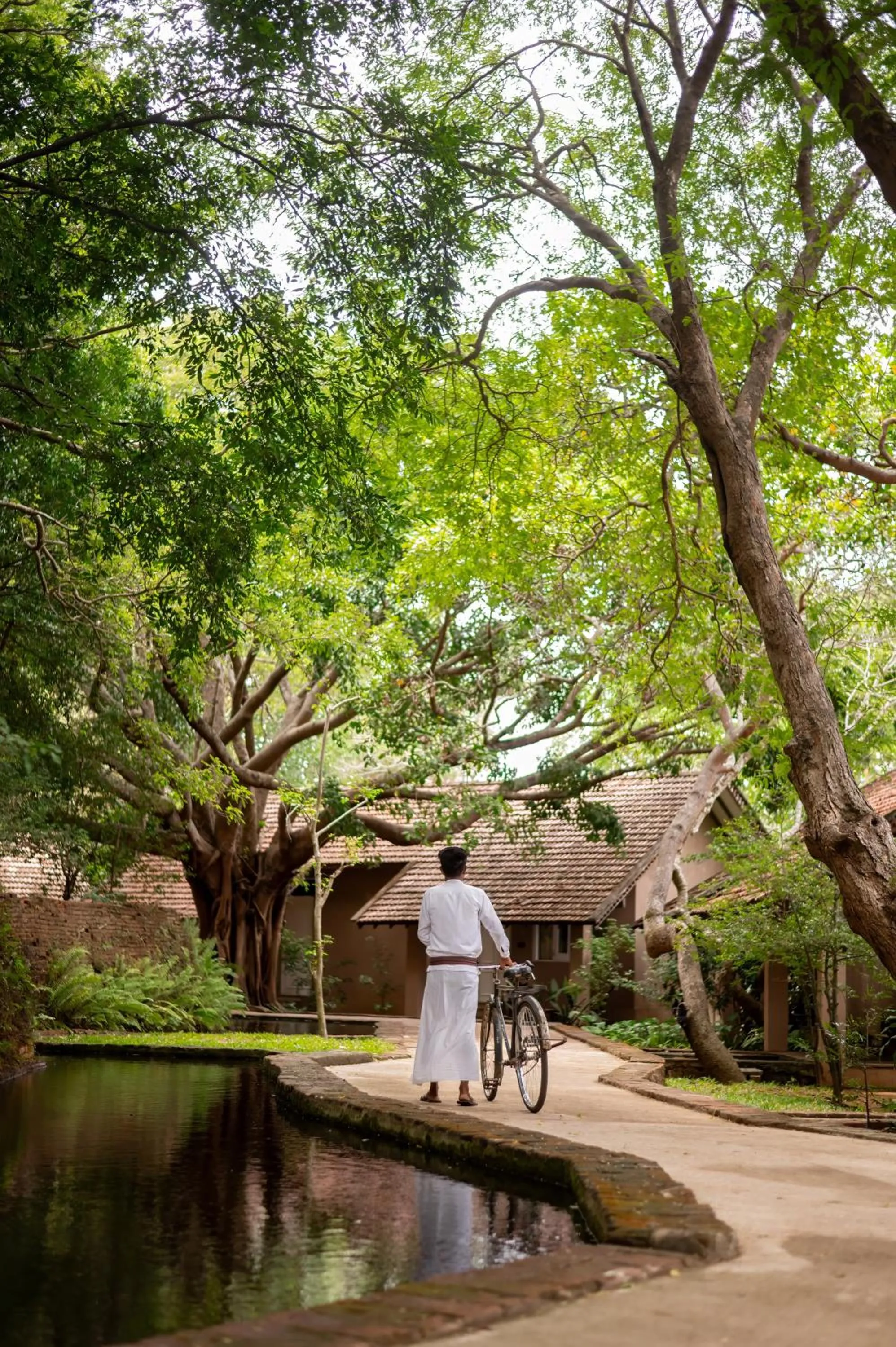 Garden in Sigiriya Village