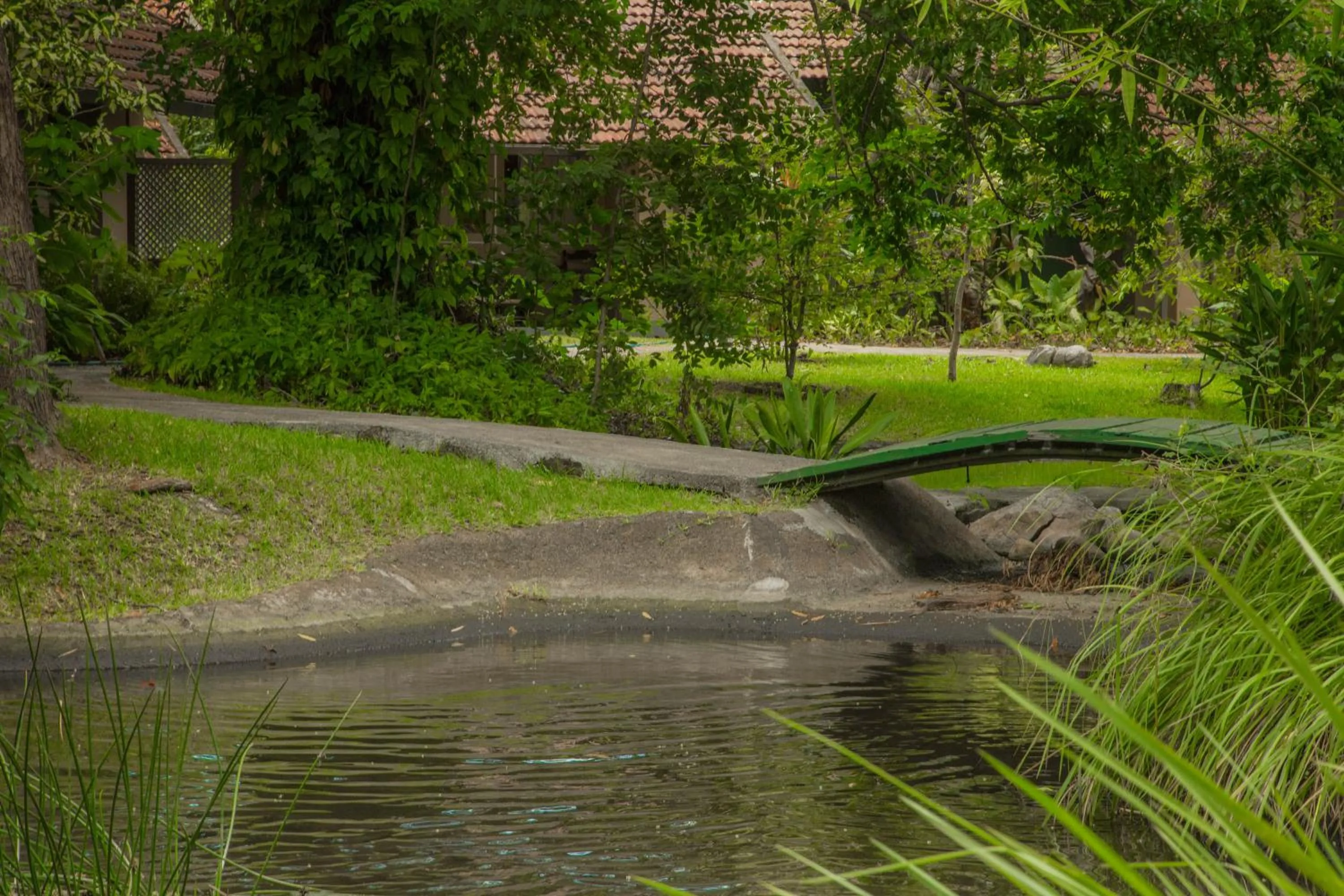 Garden view in Sigiriya Village