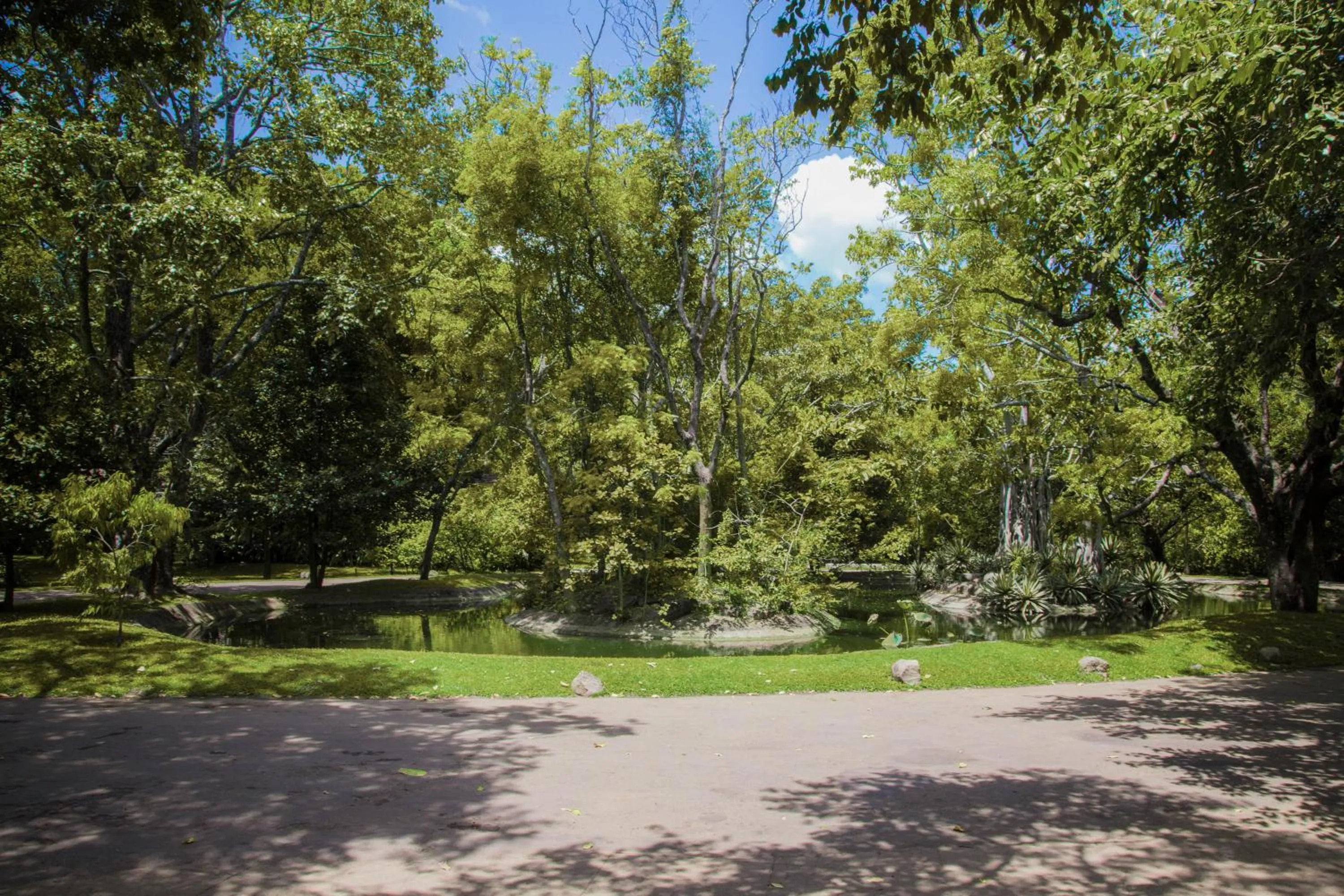 Garden in Sigiriya Village
