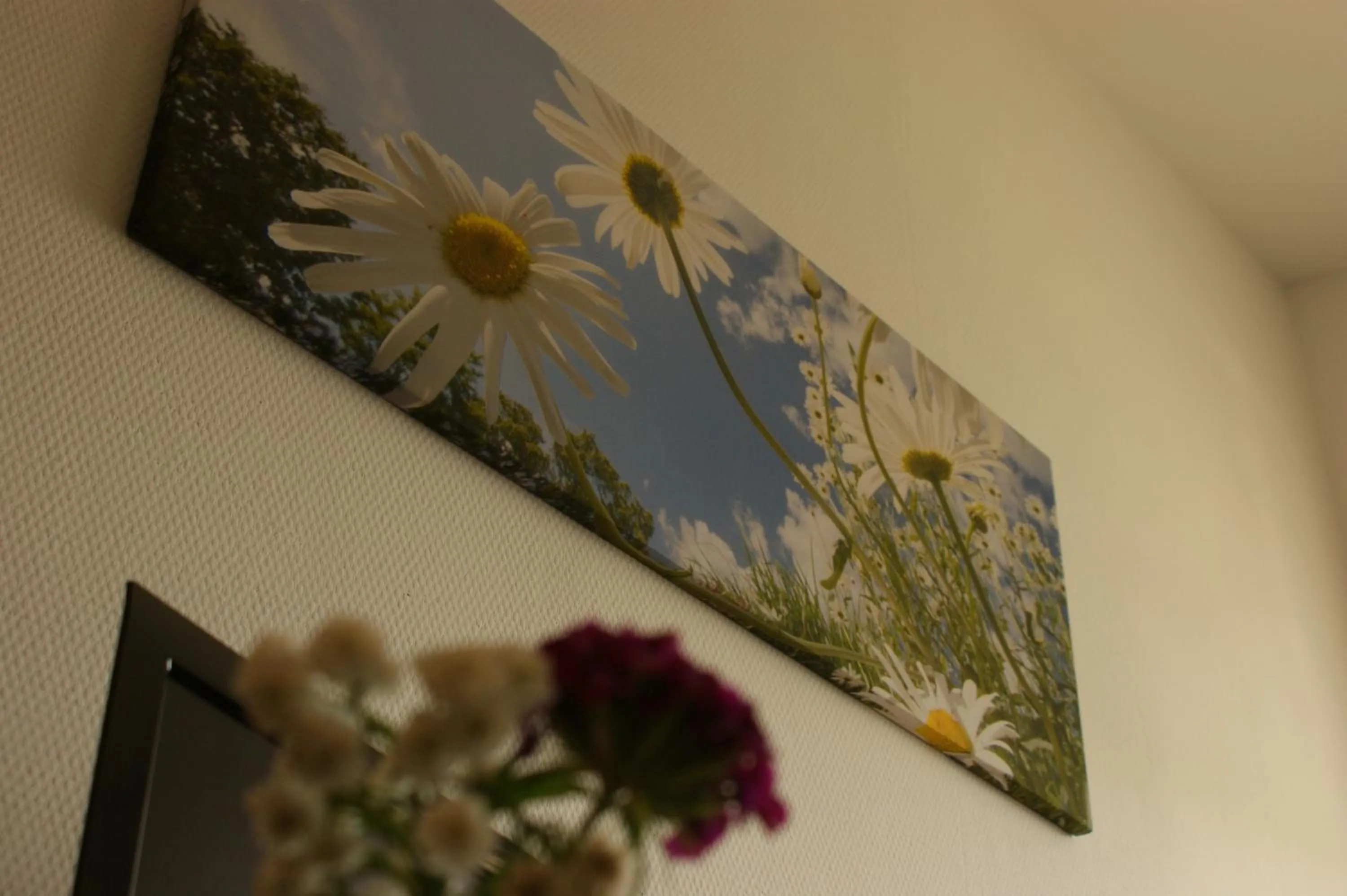 Photo of the whole room in Pelikan