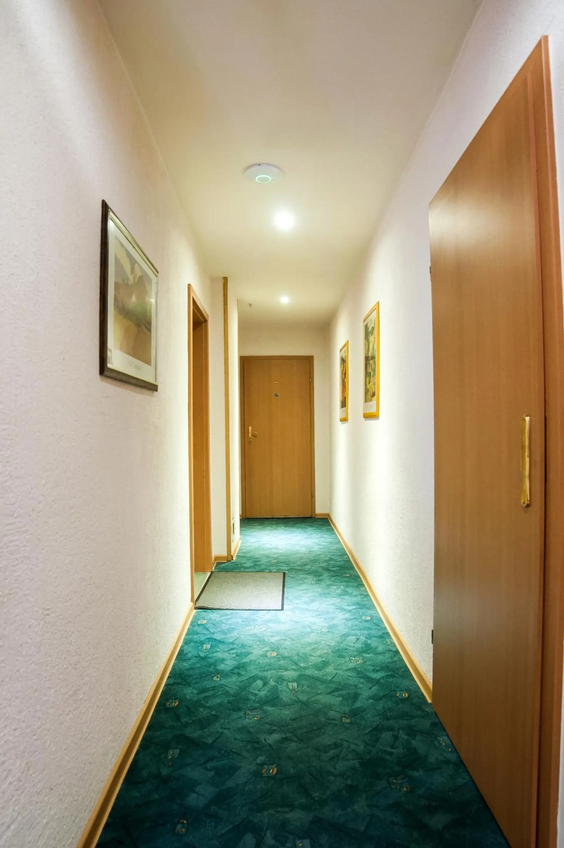 Property building in Pelikan