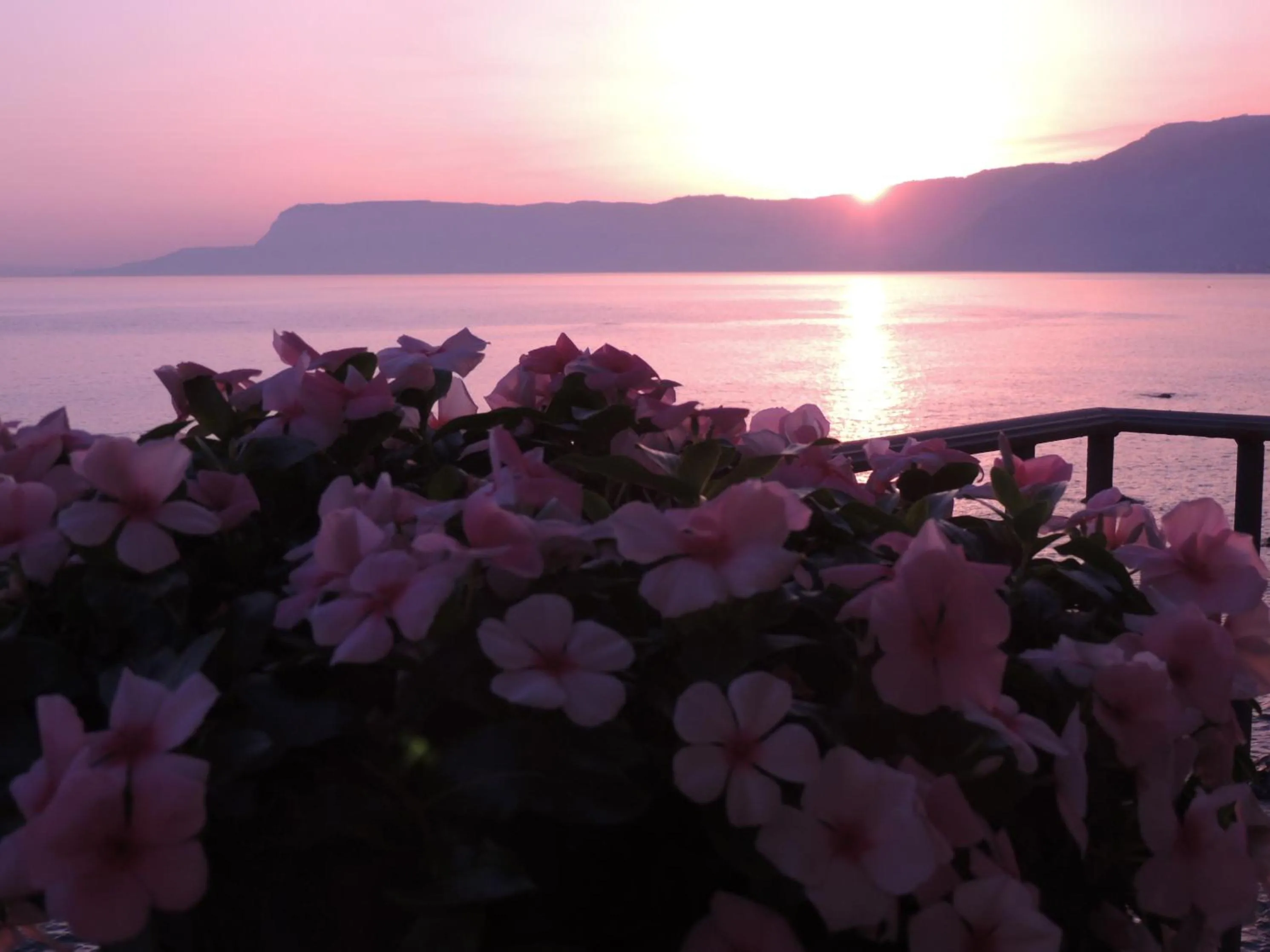 Sunrise in B&B La Veduta