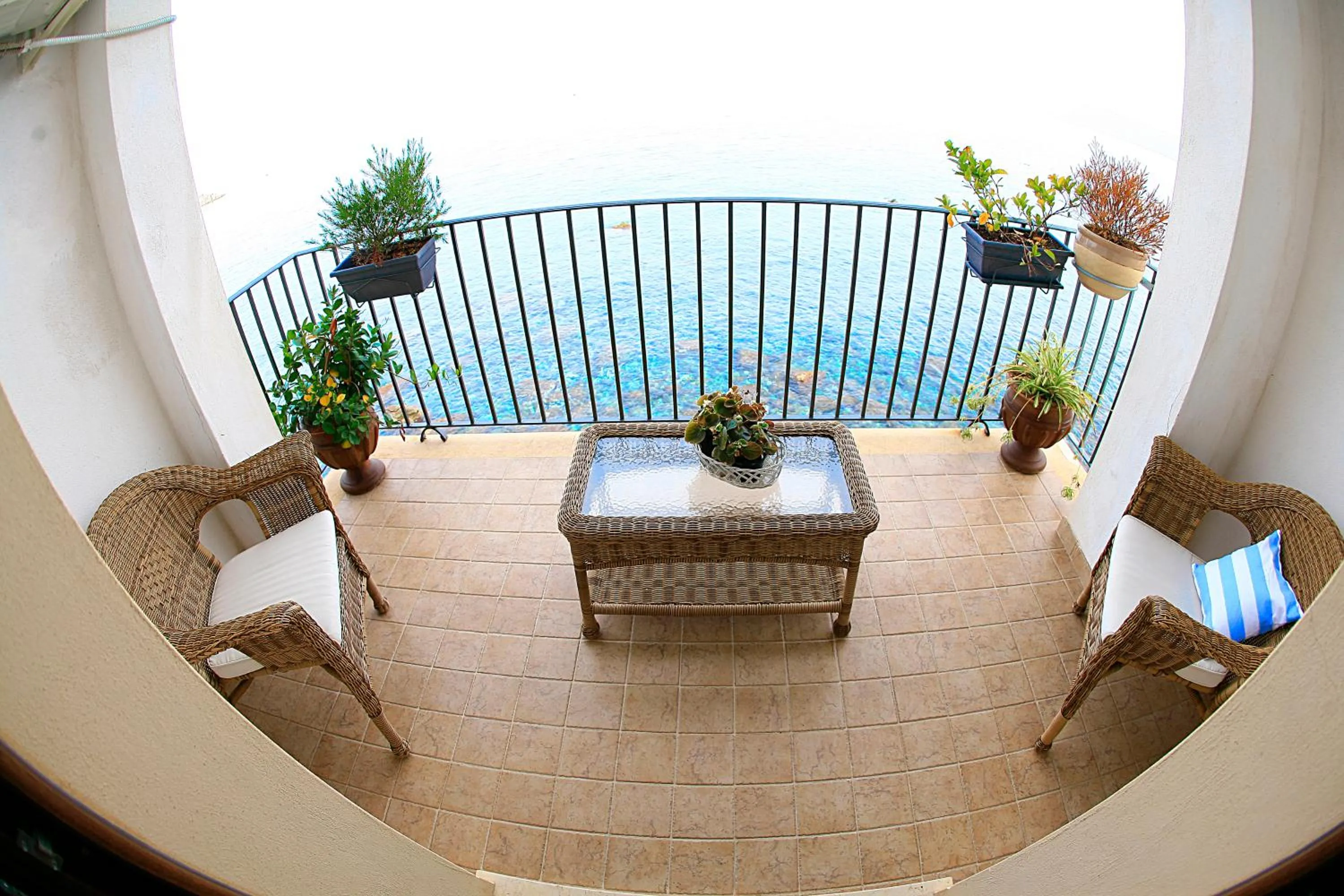 Balcony/Terrace in B&B La Veduta