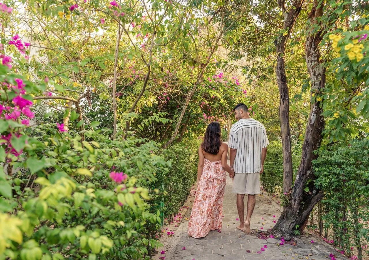 Garden in Sara Resort