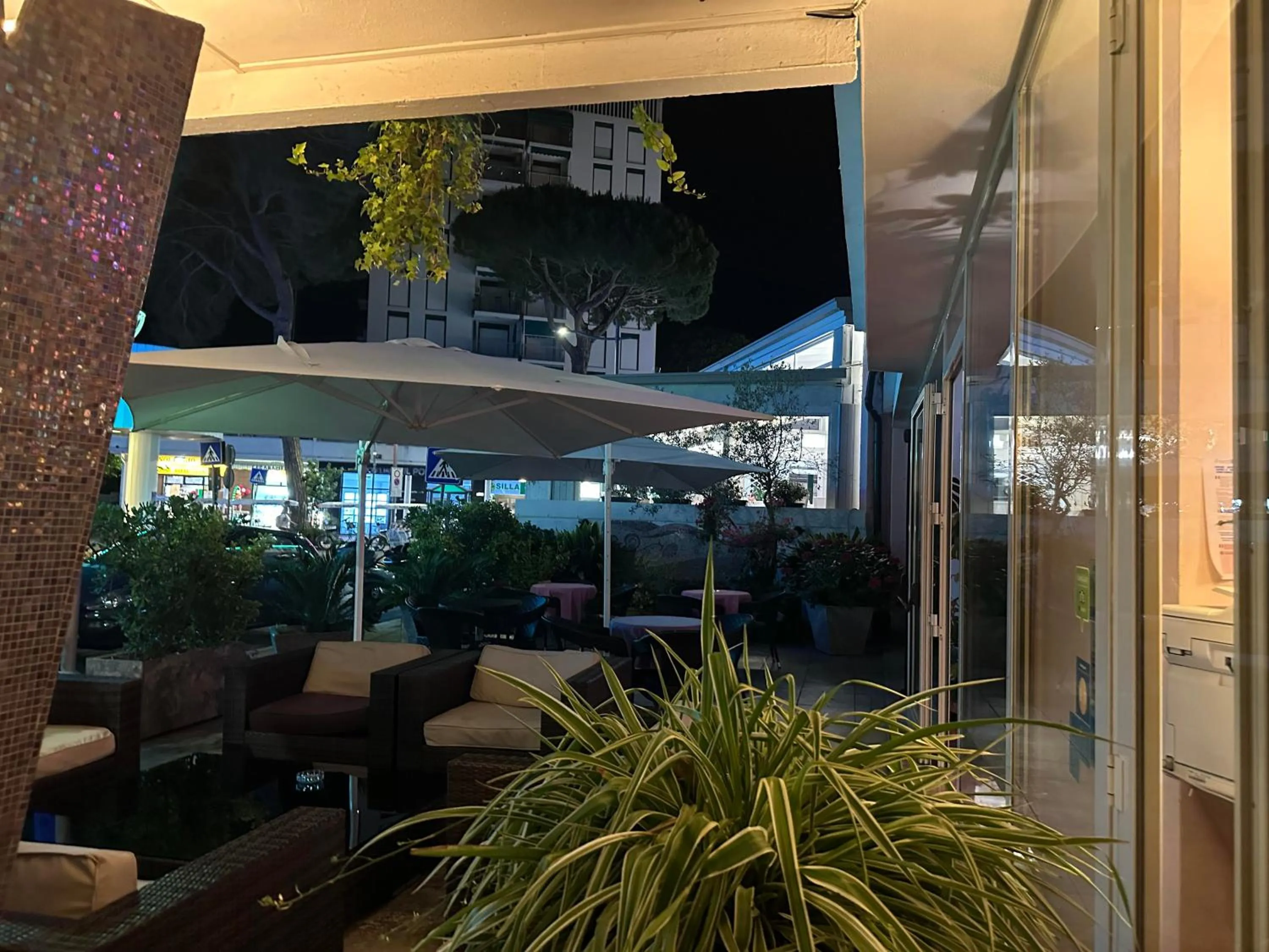 Garden view in Hotel Julia