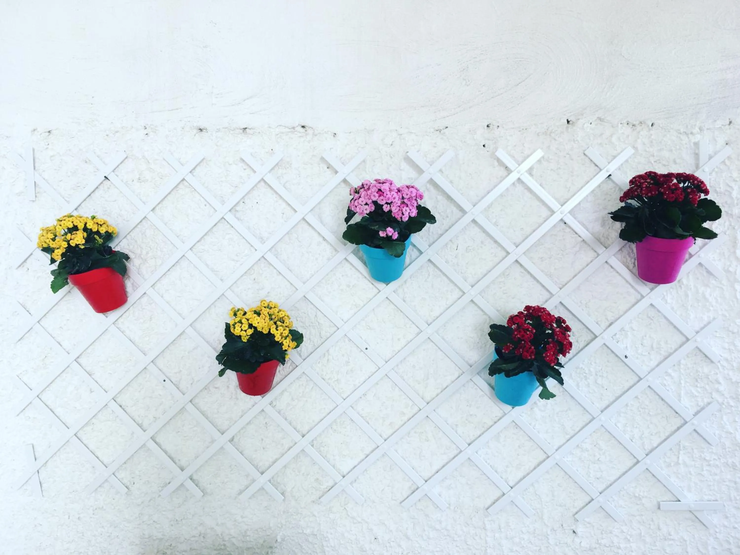 Floor plan in Villa Erade