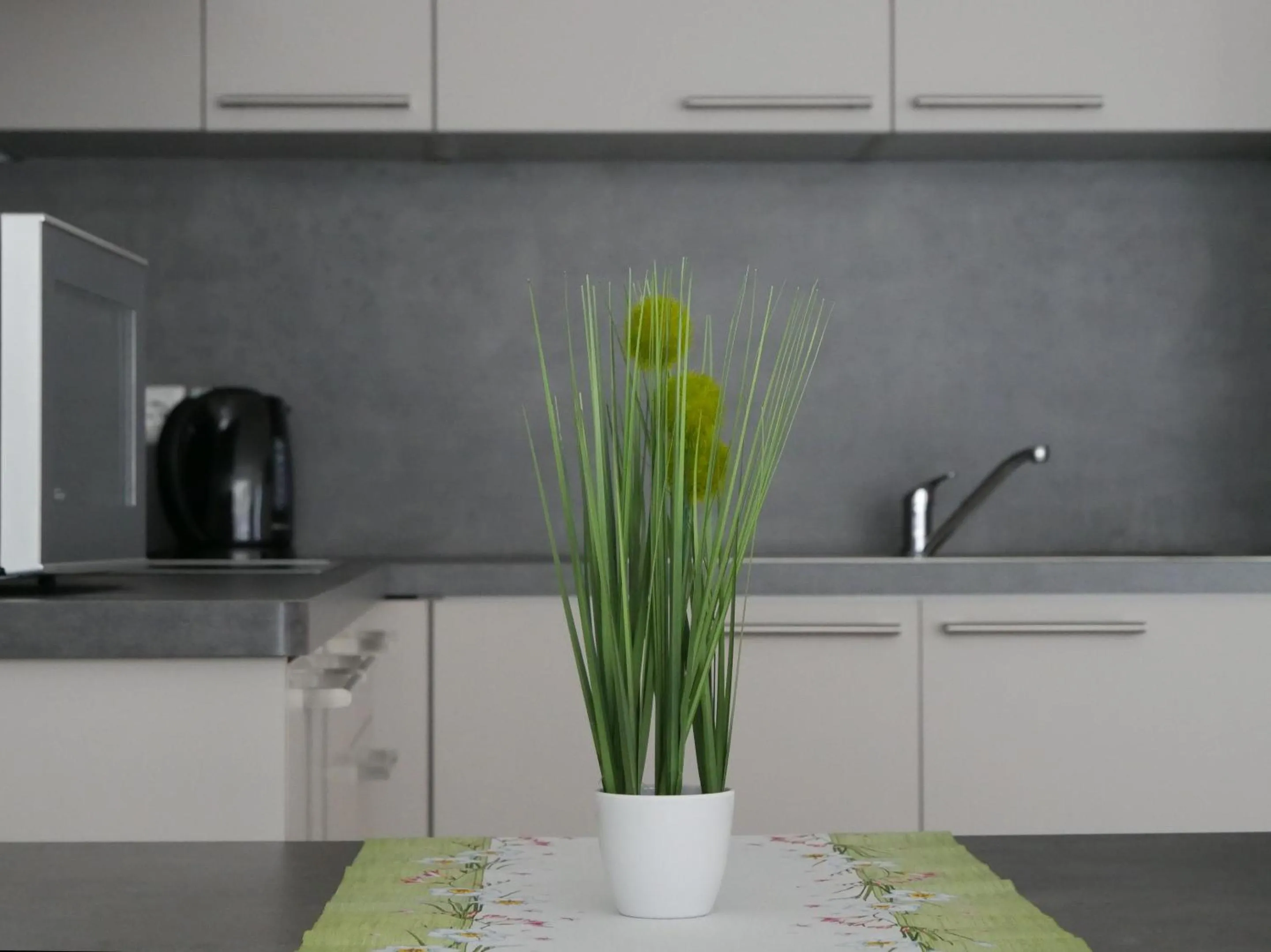 Kitchen or kitchenette in Hotel & Mühlenapartments
