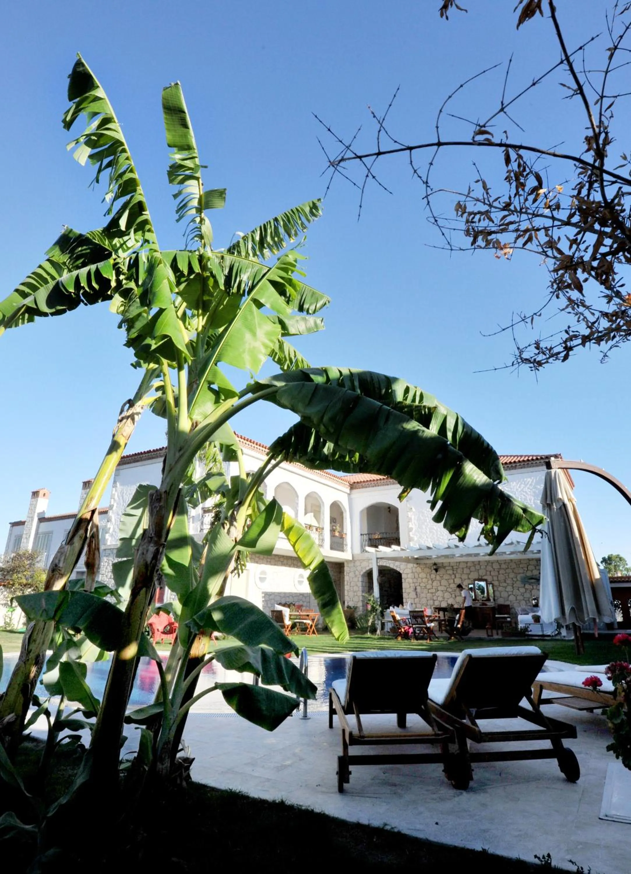 Other in Mercan Köşk