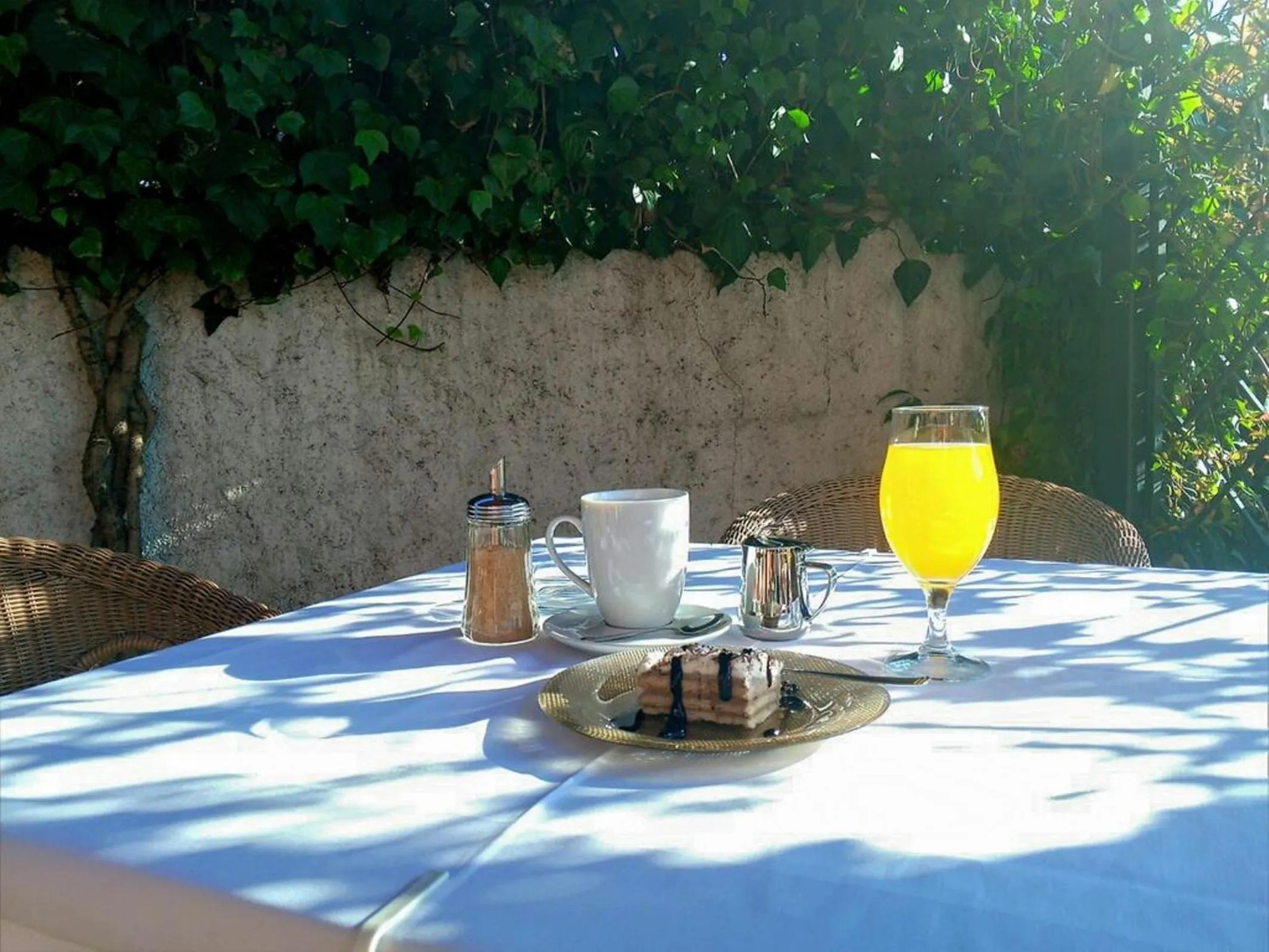 Garden in Hotel Laguna