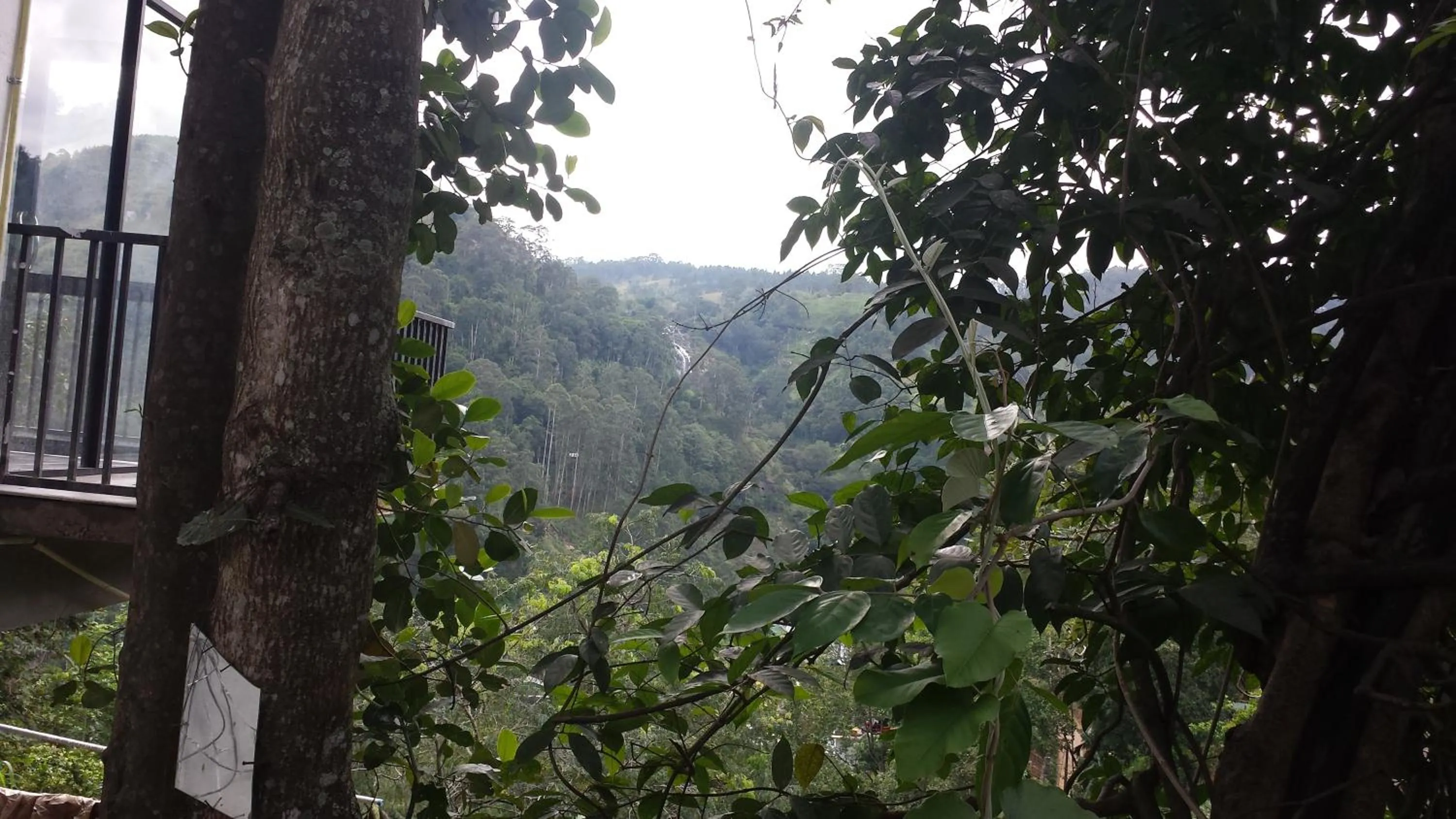 Property building in Viewfront Ella